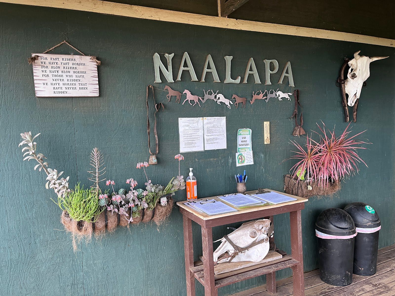 Photo 7 of Kohala Na'alapa Stables in Waimea, Big Island