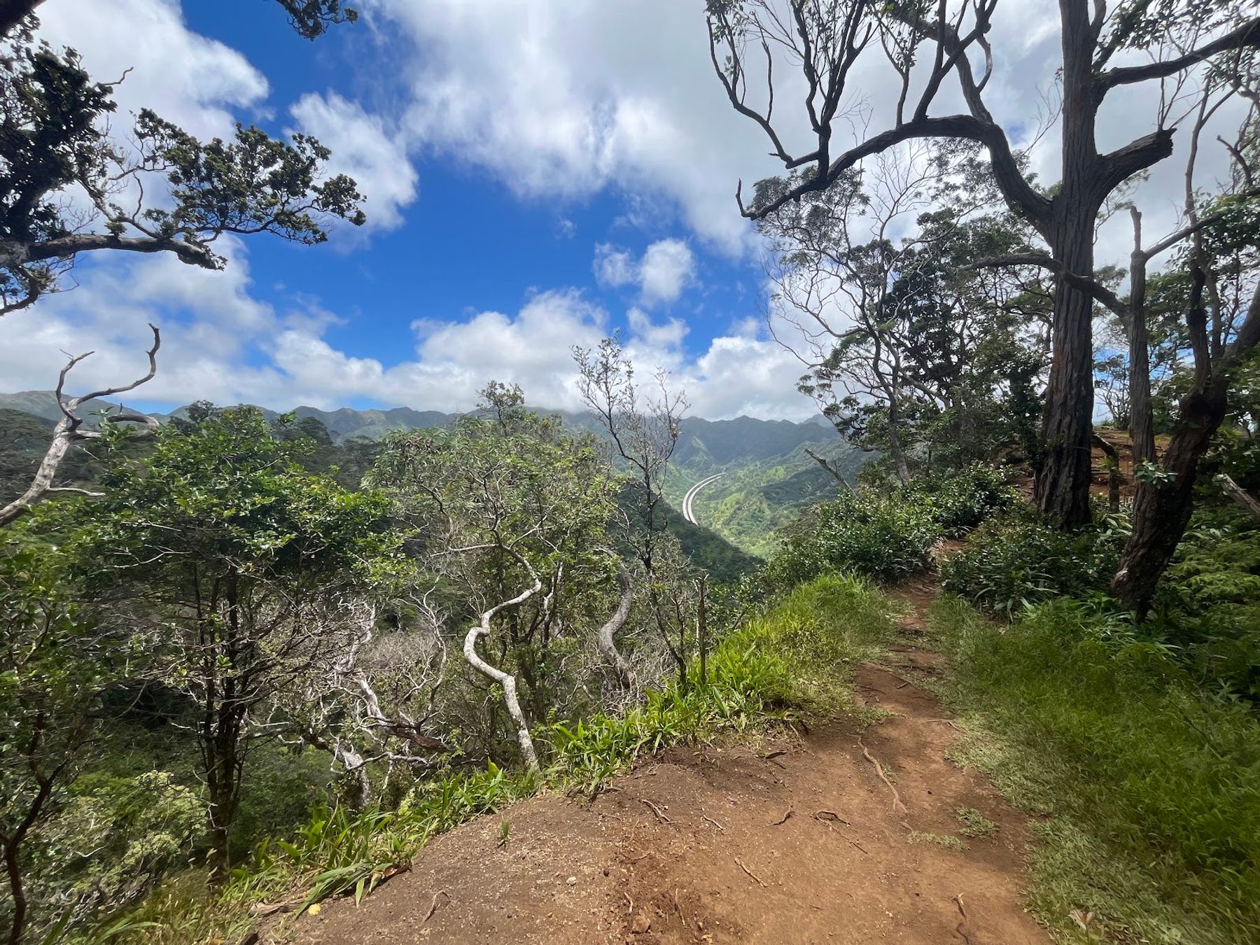 Photo 3 of Keaīwa Heiau State Recreation Area in Pearl Harbor & ʻAiea, Oahu