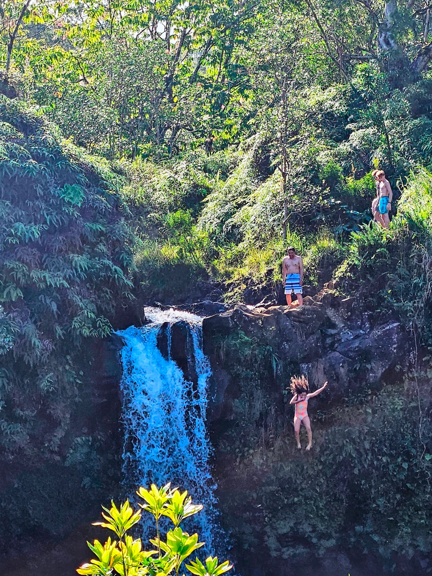 Photo 7 of Hanawi Falls in Keʻanae-Nāhiku, Maui