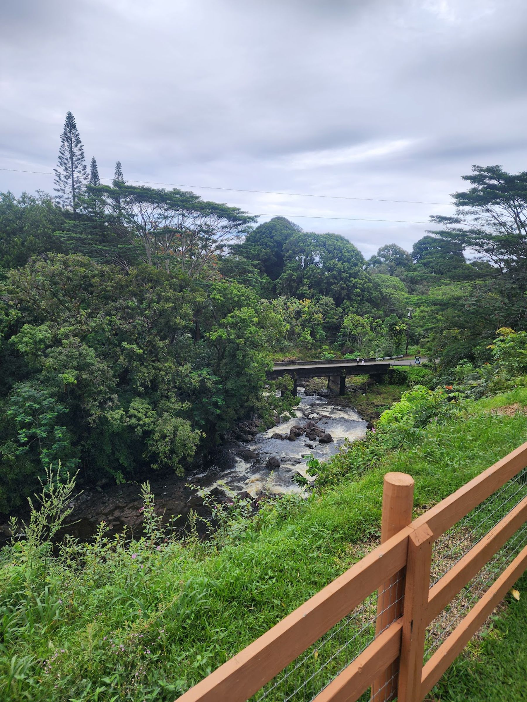 Photo 5 of The Umauma Experience in Greater Hilo, Big Island