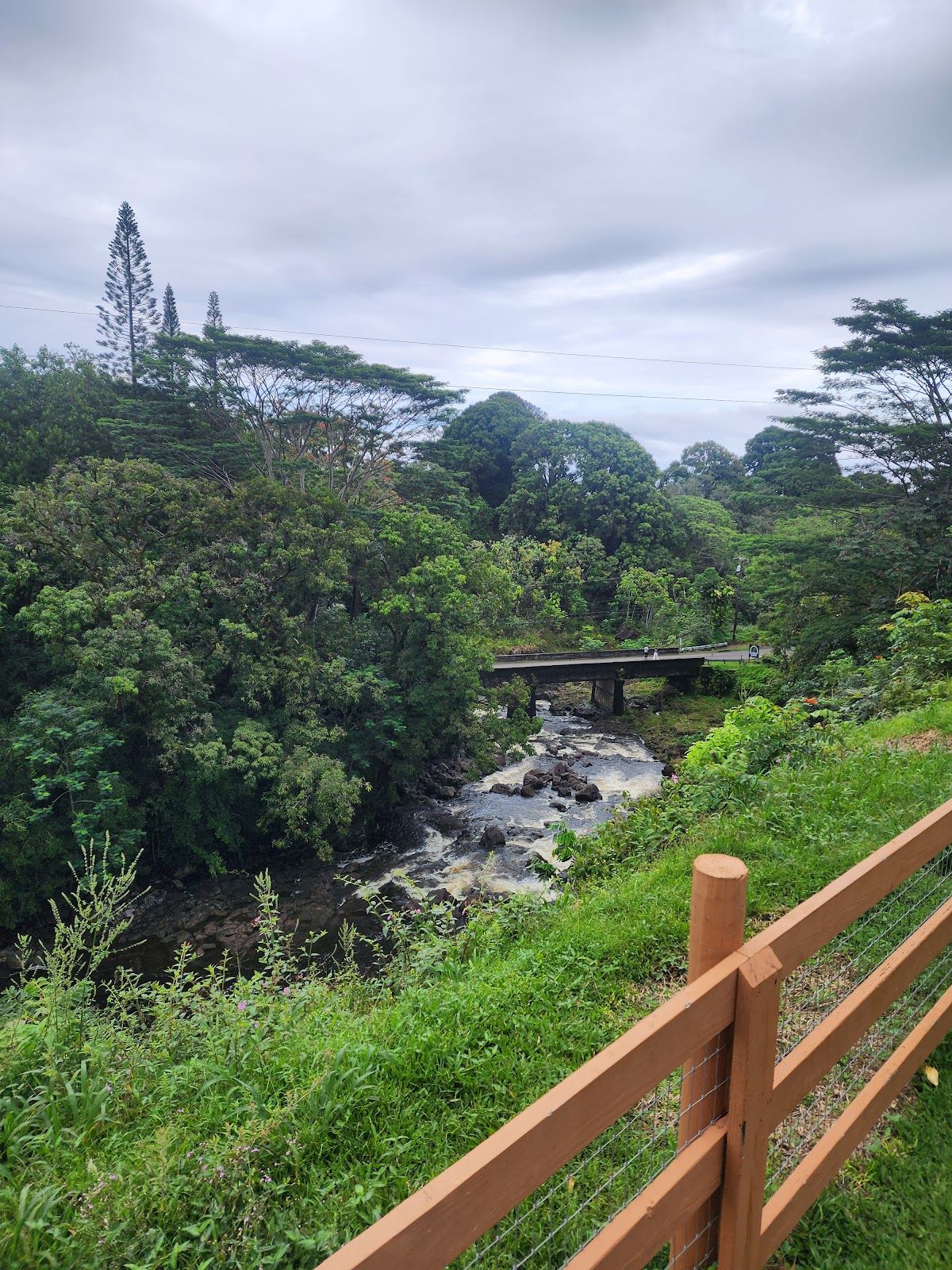 Photo 5 of The Umauma Experience in Greater Hilo, Big Island
