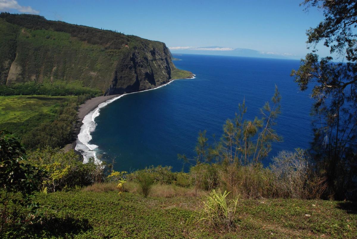 View from Waipiʻo Valley Lookout on the Hāmākua Coast, showing steep green sea cliffs, a black-sand beach, and blue ocean under clear sky.