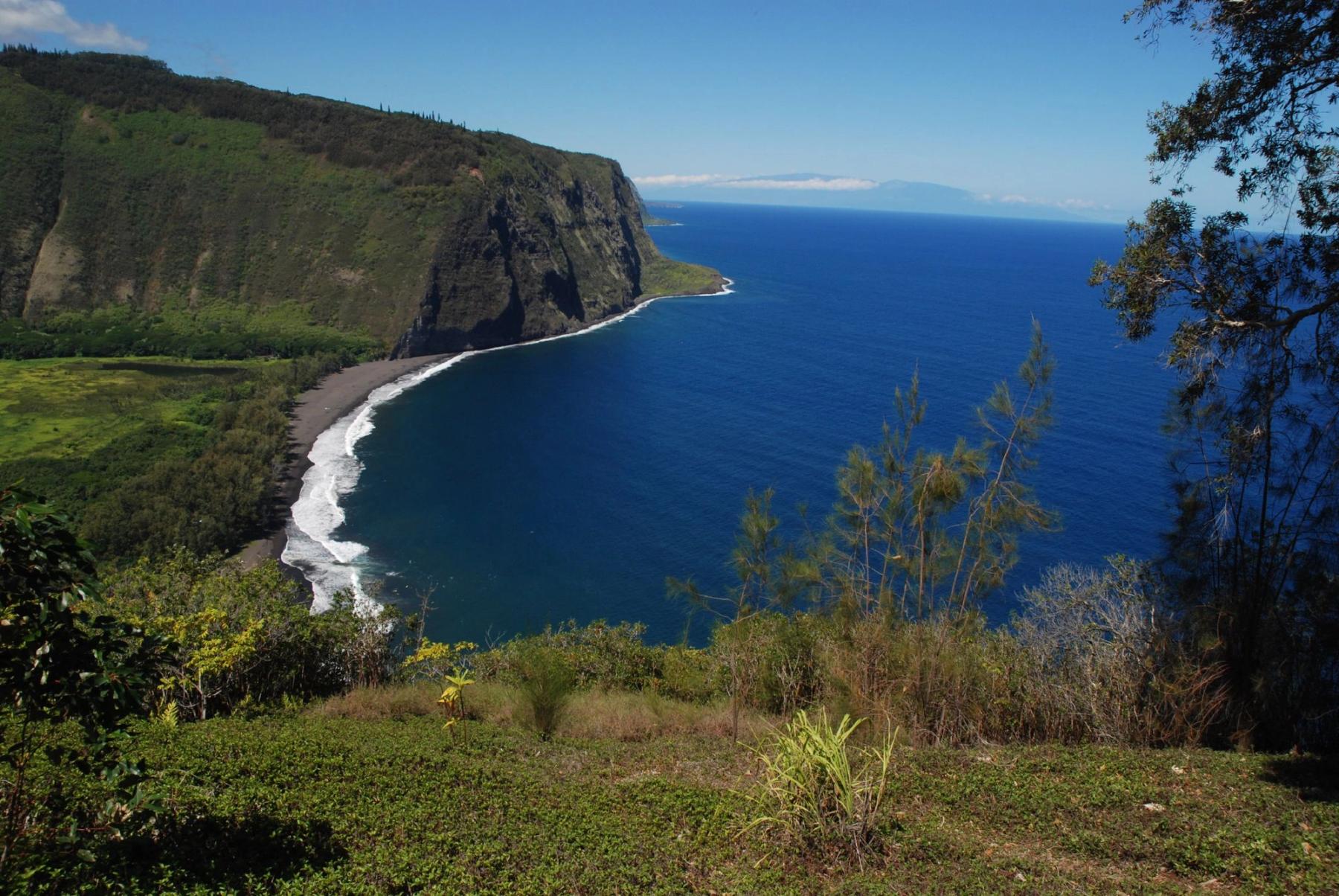 View from Waipiʻo Valley Lookout on the Hāmākua Coast, showing steep green sea cliffs, a black-sand beach, and blue ocean under clear sky.