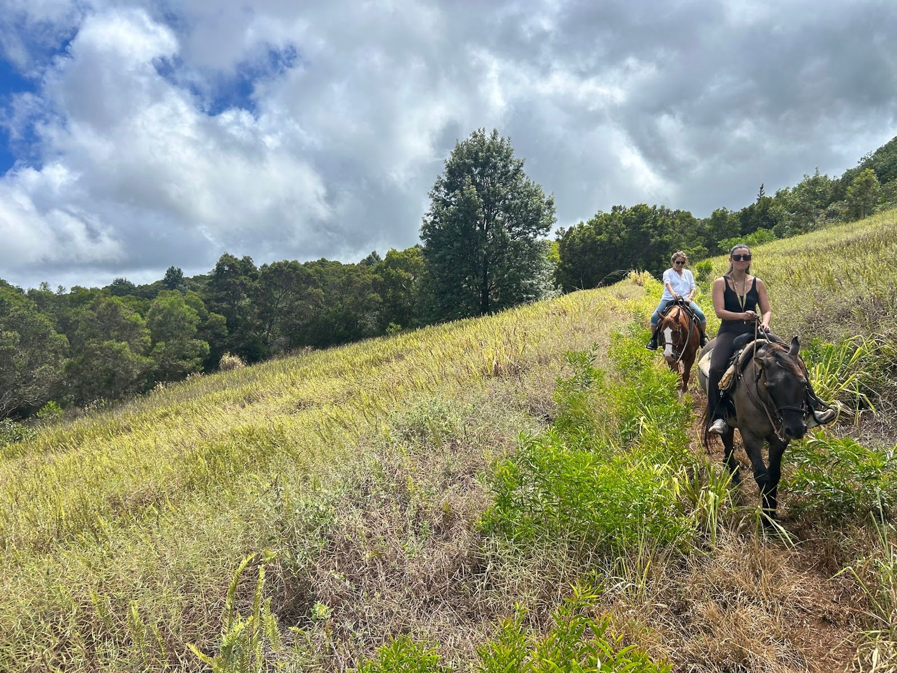 Photo 3 of Ironwood Ranch Horseback Riding in Kapalua, Maui