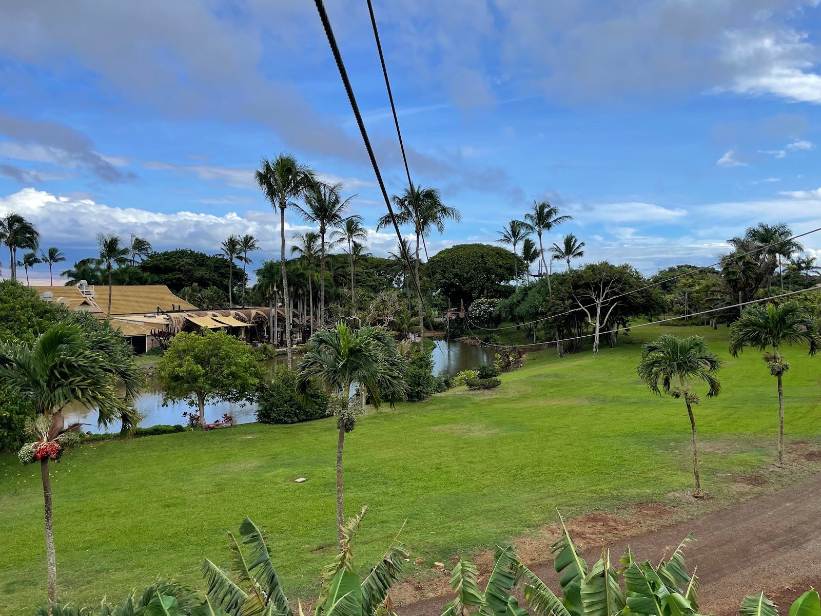Photo 8 of Skyline Hawaii - Kaanapali Maui Zipline in Lāhainā, Maui