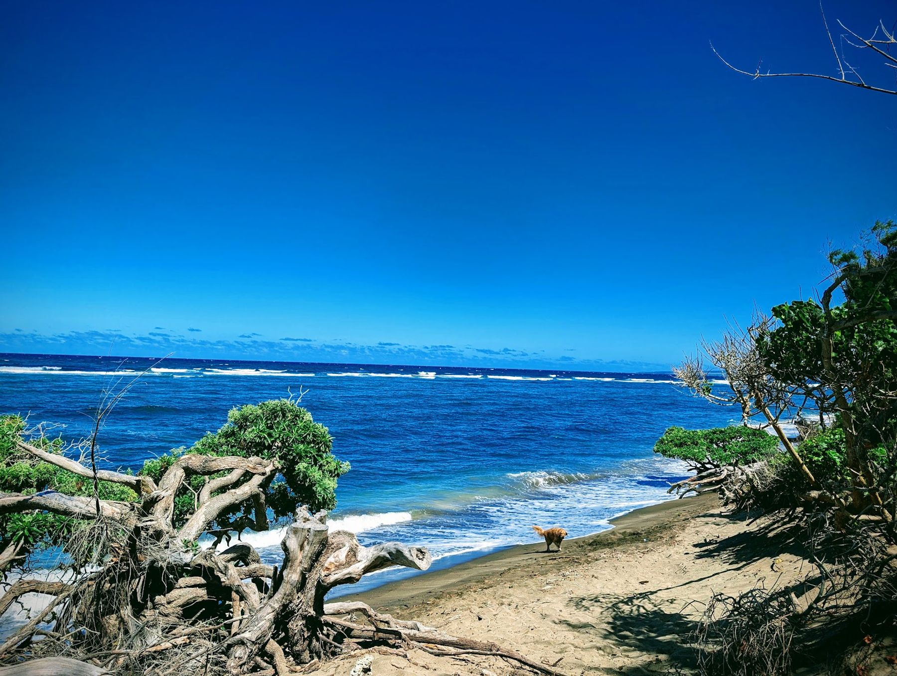 Photo 4 of Waihe'e Beach in Wailuku, Maui