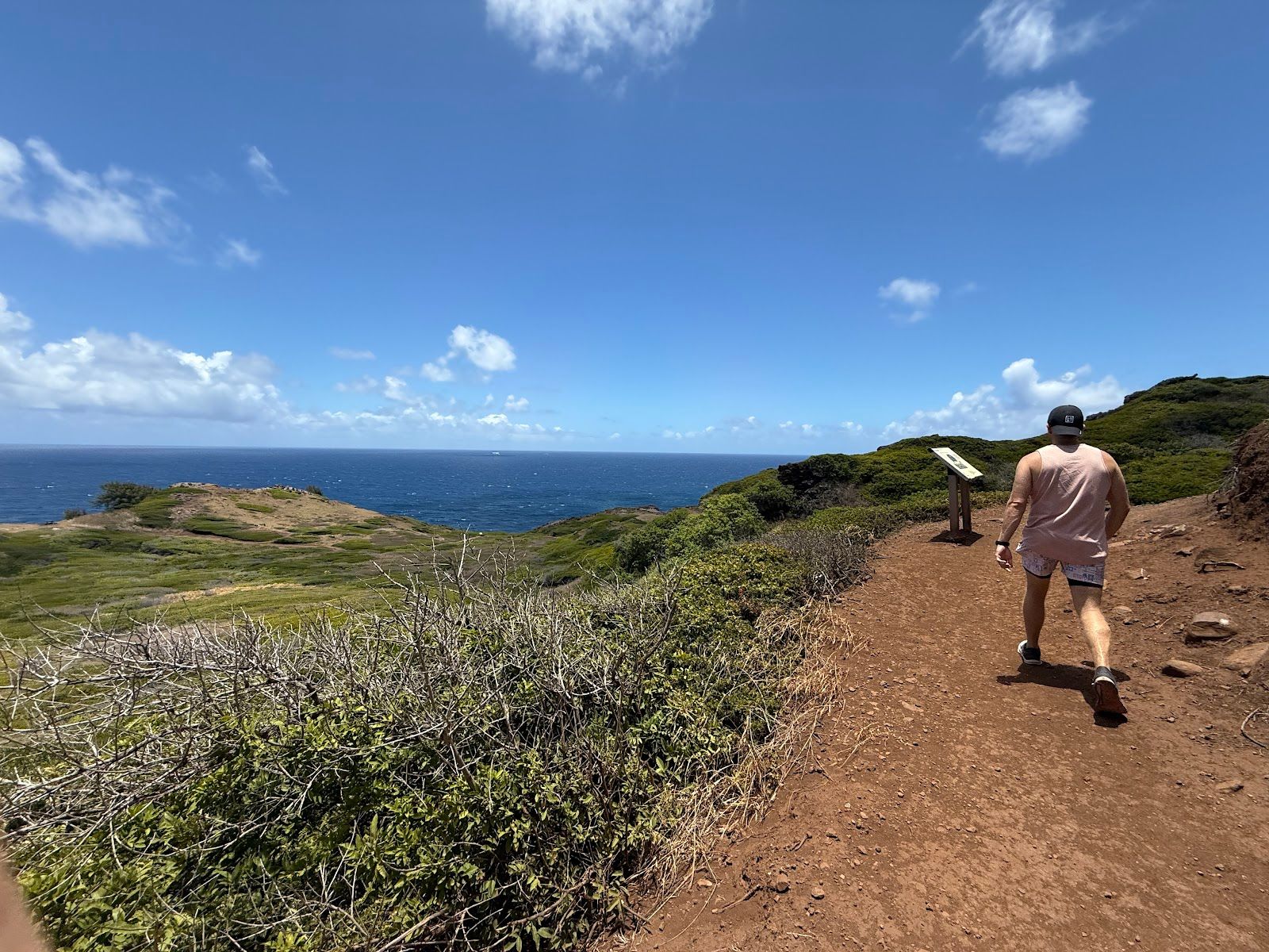 Photo 2 of ʻOhai Trail in Wailuku, Maui