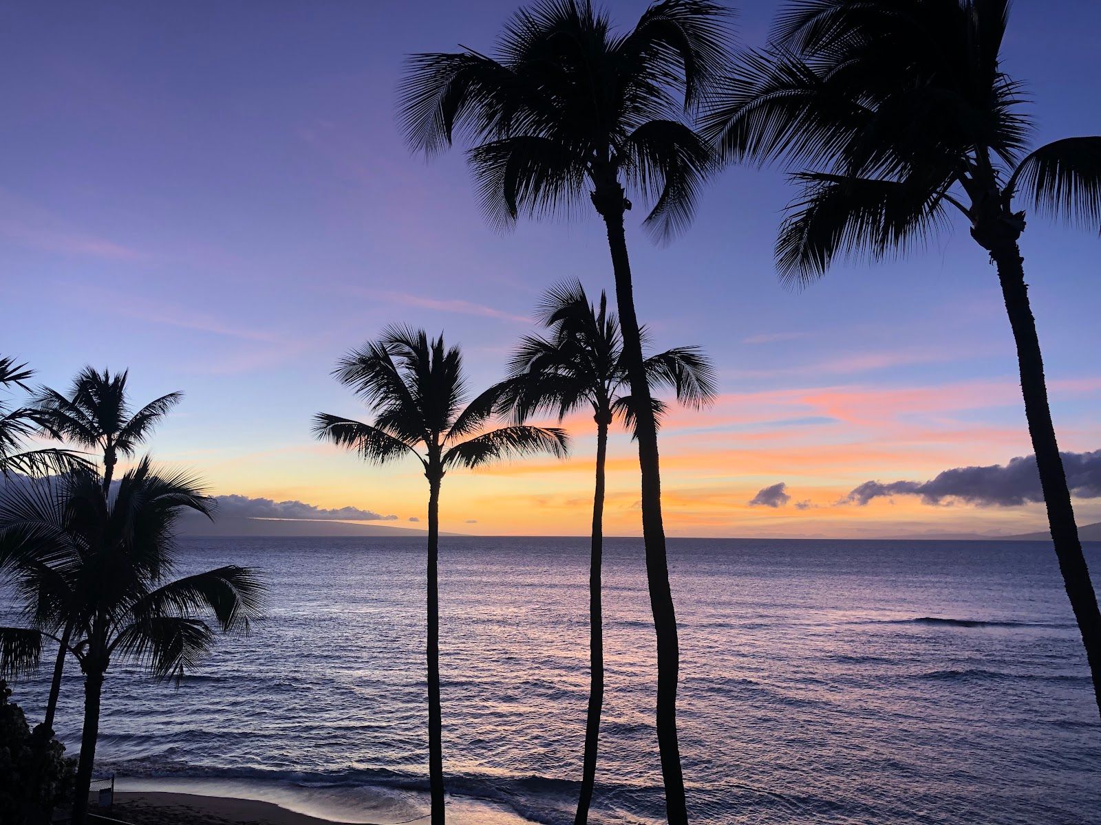 Photo 4 of Hale Mahina Beach Resort in Kapalua, Maui