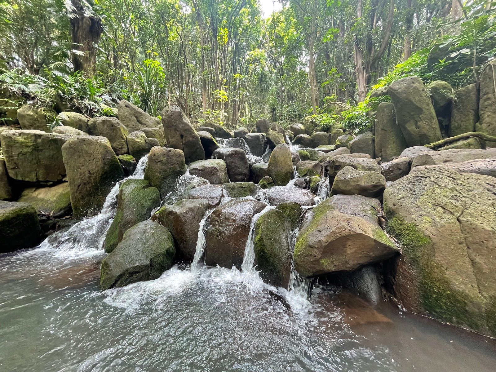 Wailua River State Park in Kapaʻa, Kaua‘i photo 6