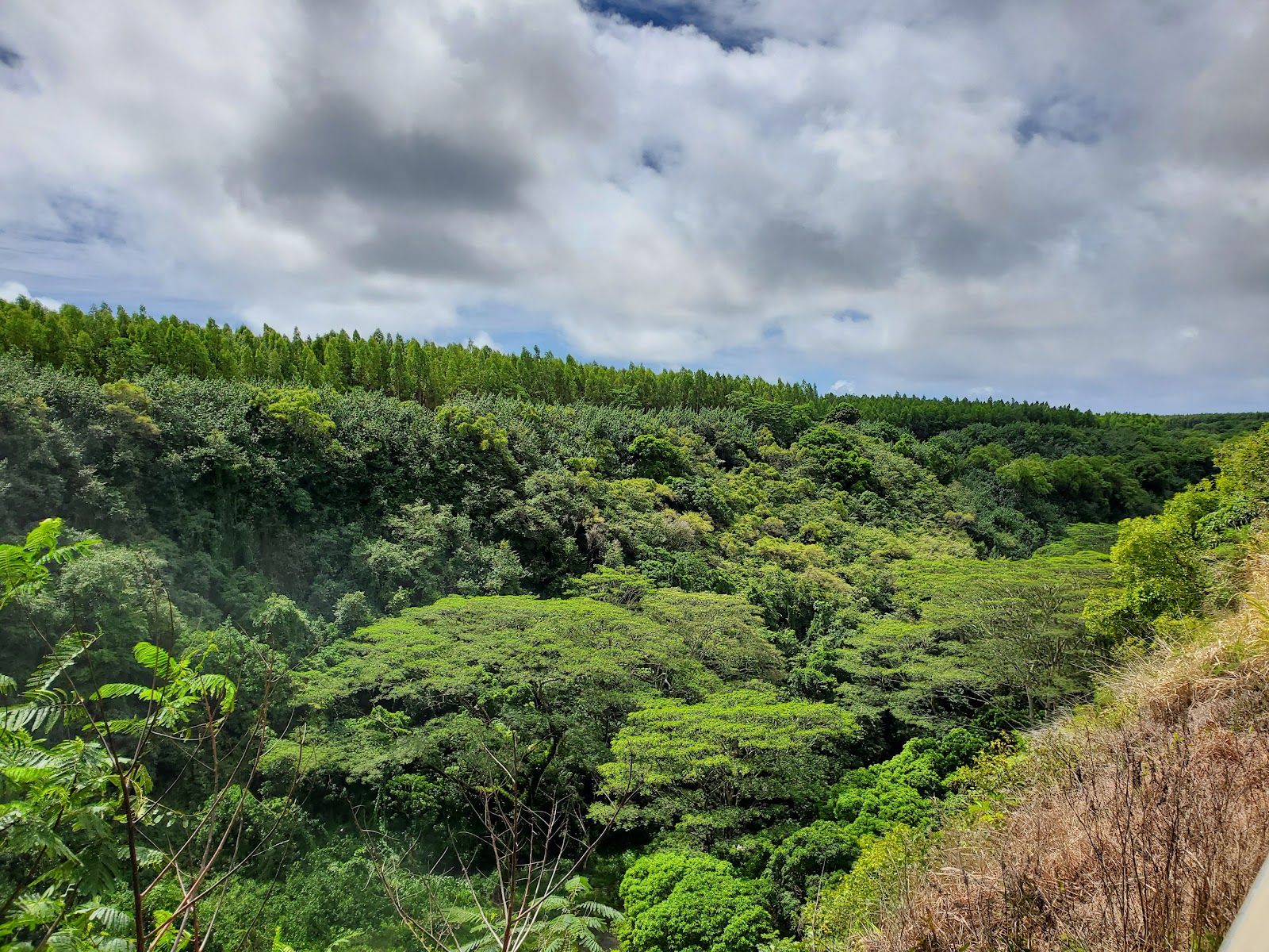 Wailua Falls in Kapaʻa, Kaua‘i photo 3