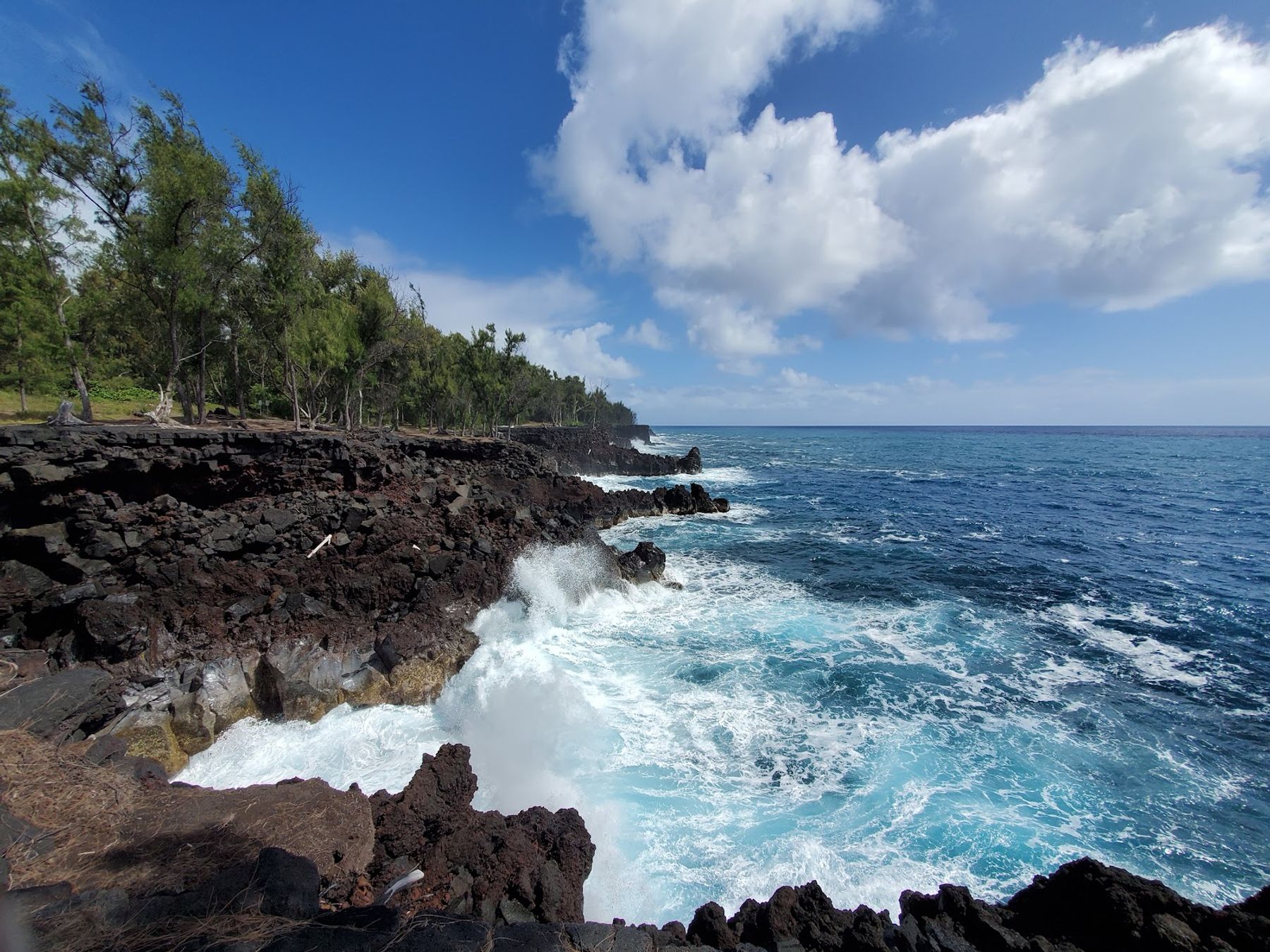 Photo 1 of MacKenzie State Recreation Area in Kalapana, Big Island