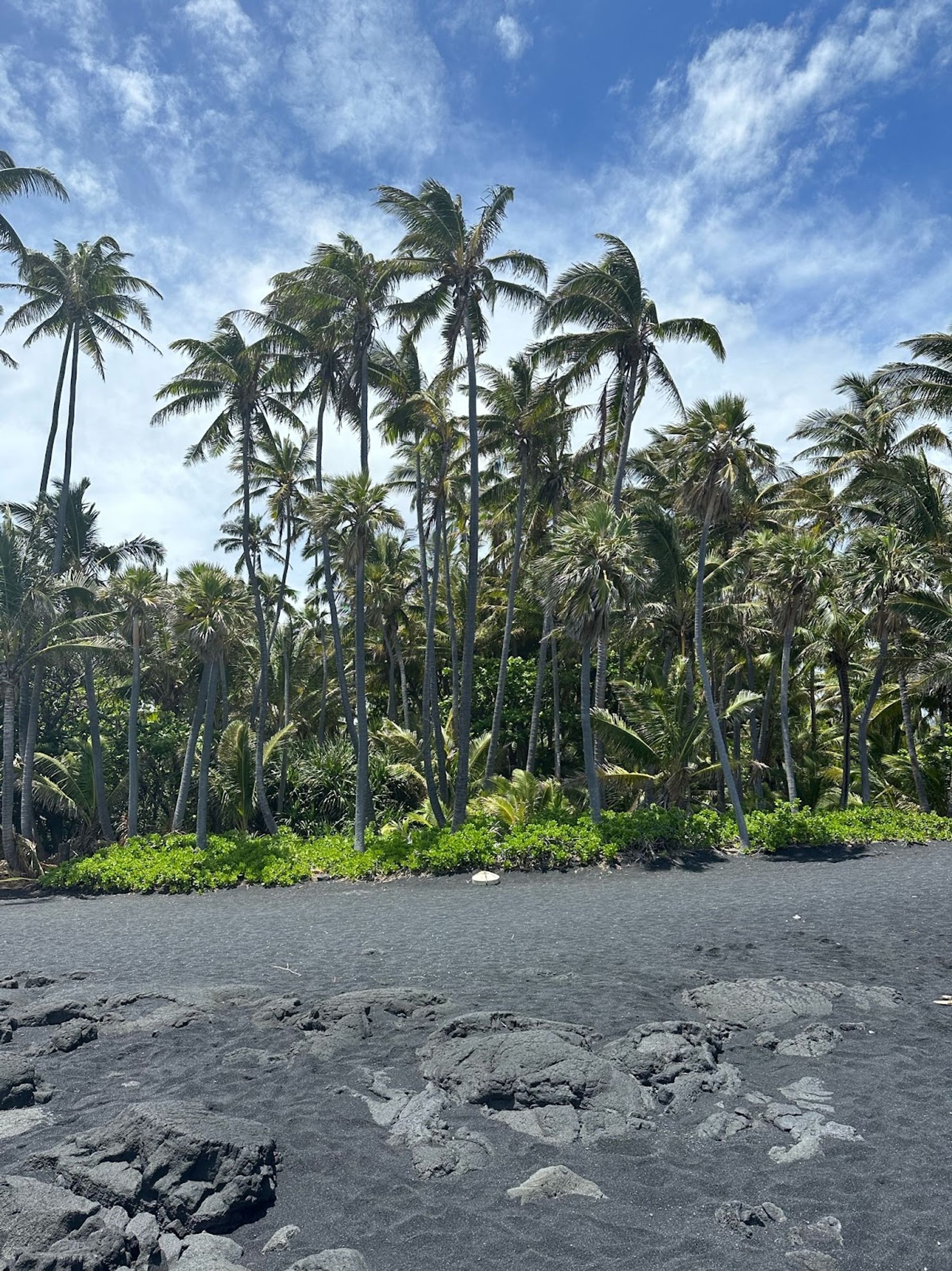 Photo 8 of Punaluʻu Beach in Pāhala, Big Island