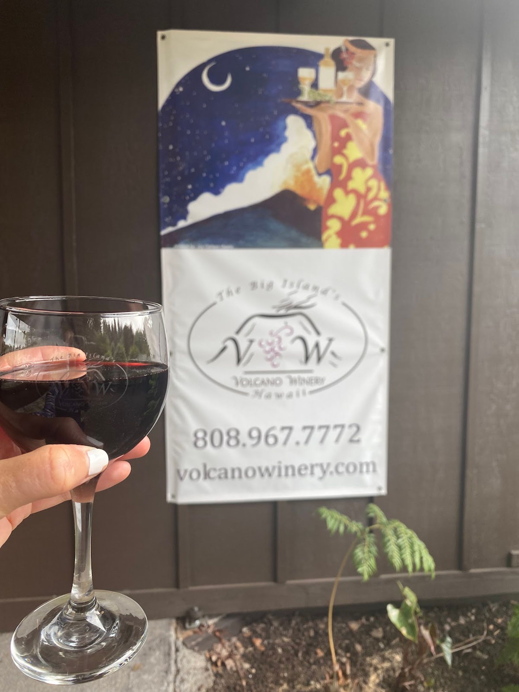 Photo 5 of Volcano Winery in Volcano, Big Island
