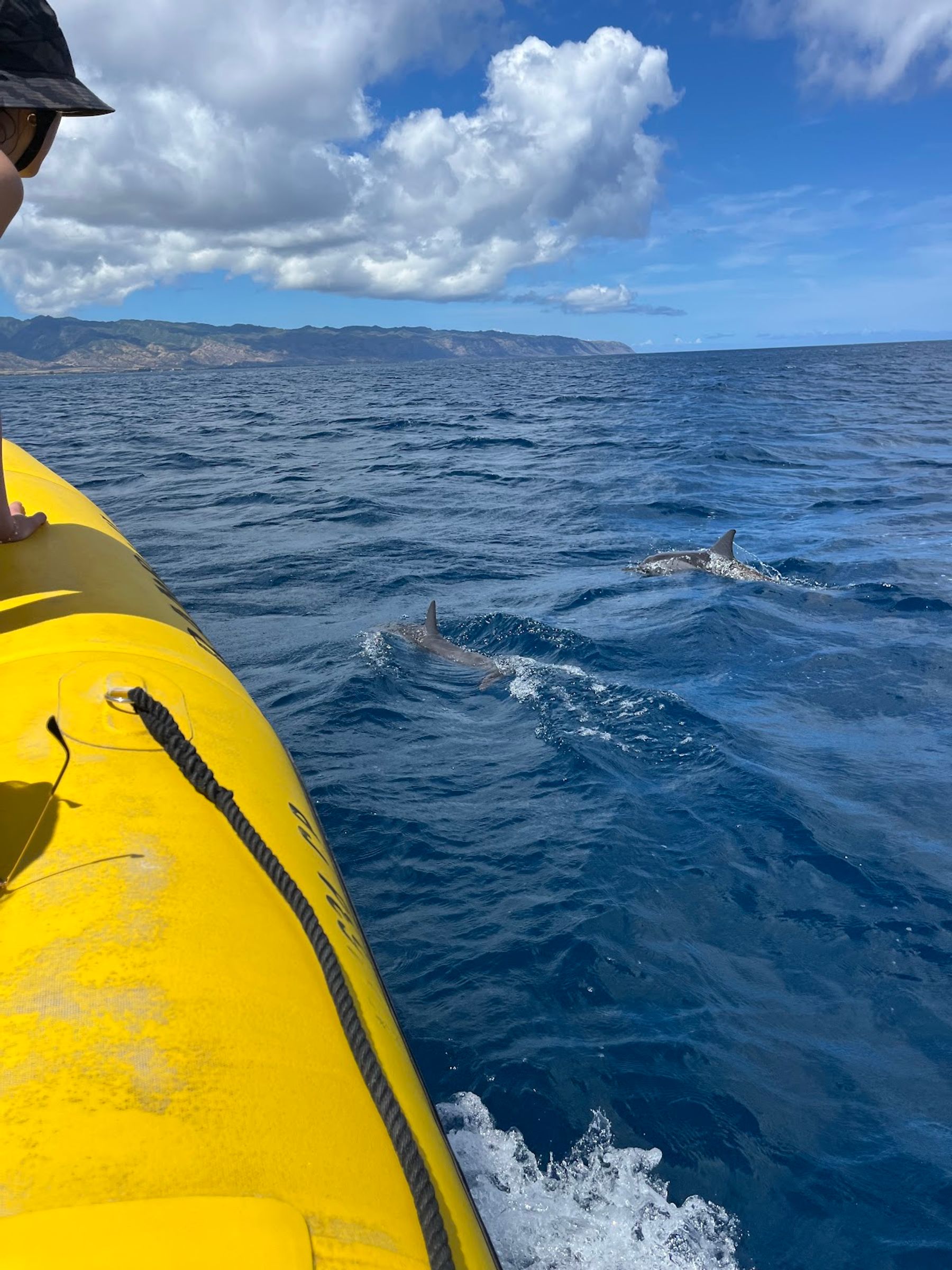 Photo 7 of Ocean Outfitters Hawaii in Haleʻiwa, Oahu