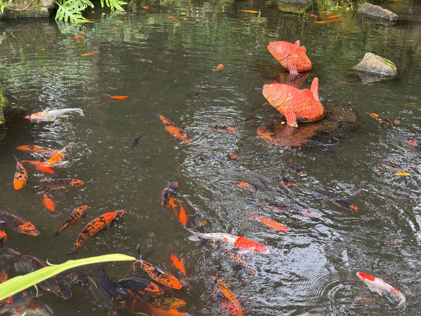Photo 3 of Oahu Nature Tours in ʻEwa Beach, Oahu
