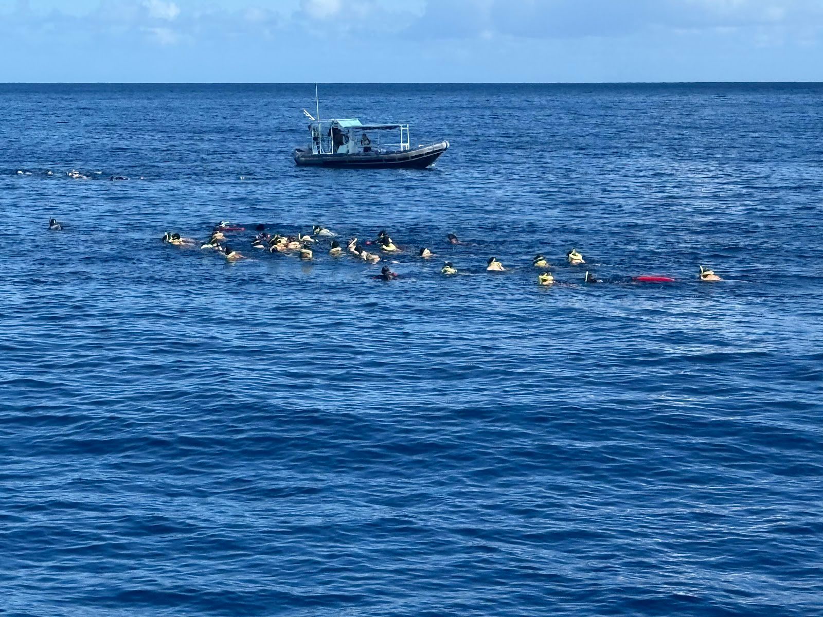Photo 3 of Iruka Hawaii Dolphin Snorkeling Tours in Ala Moana & Mōʻiliʻili, Oahu