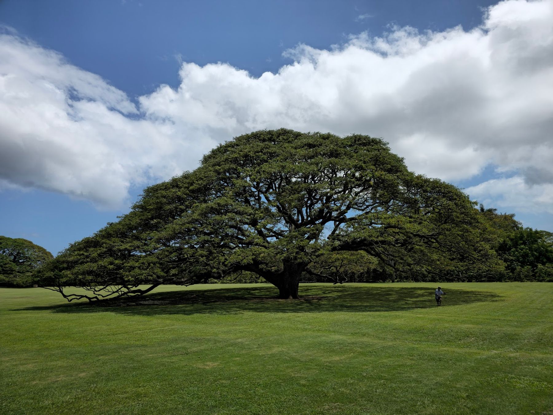 Photo 1 of Moanalua Gardens in Pearl Harbor & ʻAiea, Oahu