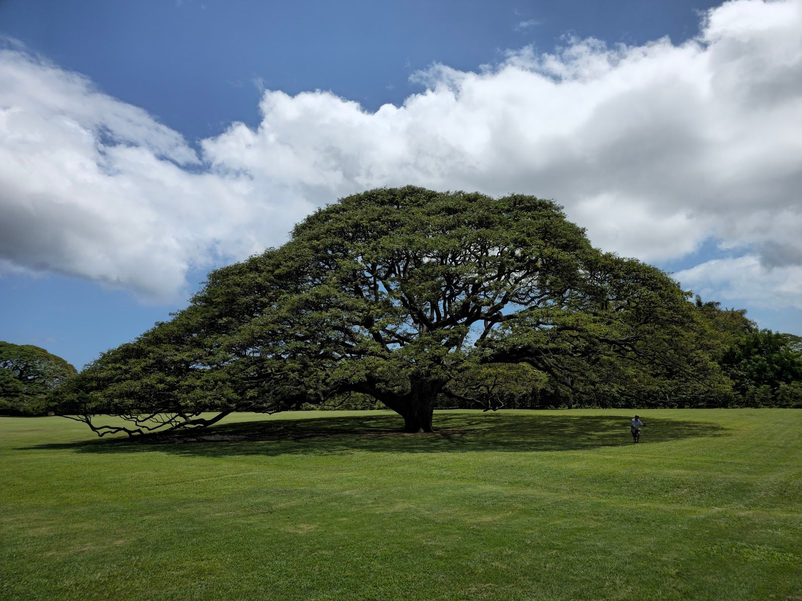 Photo 1 of Moanalua Gardens in Pearl Harbor & ʻAiea, Oahu