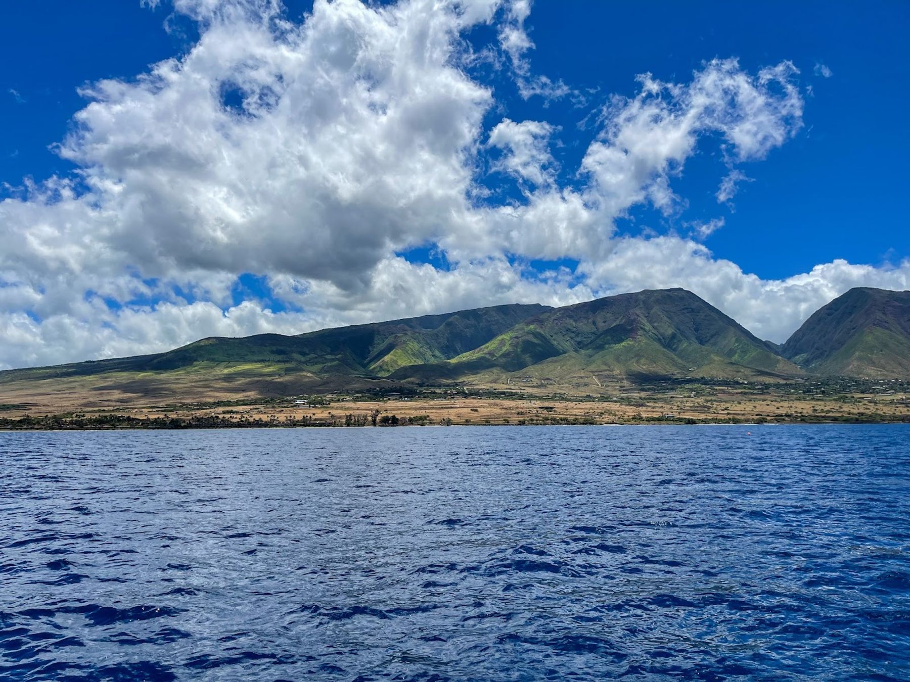 Photo 6 of Atlantis Submarines Maui in Lāhainā, Maui