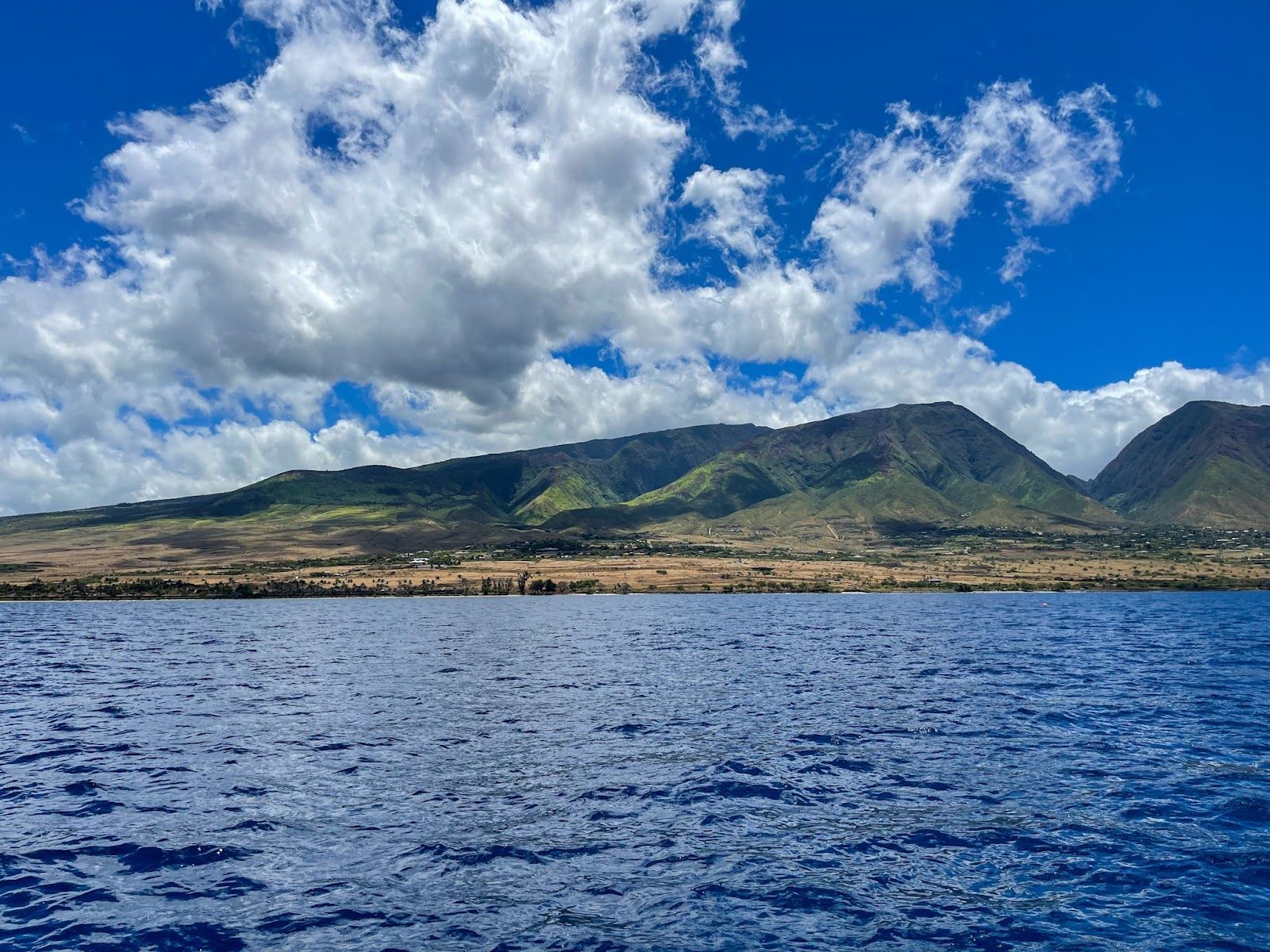 Photo 6 of Atlantis Submarines Maui in Lāhainā, Maui