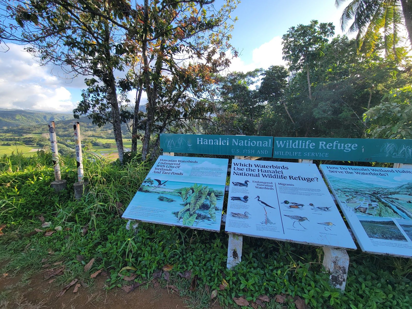 Hanalei National Wildlife Refuge in Hanalei, Kaua‘i