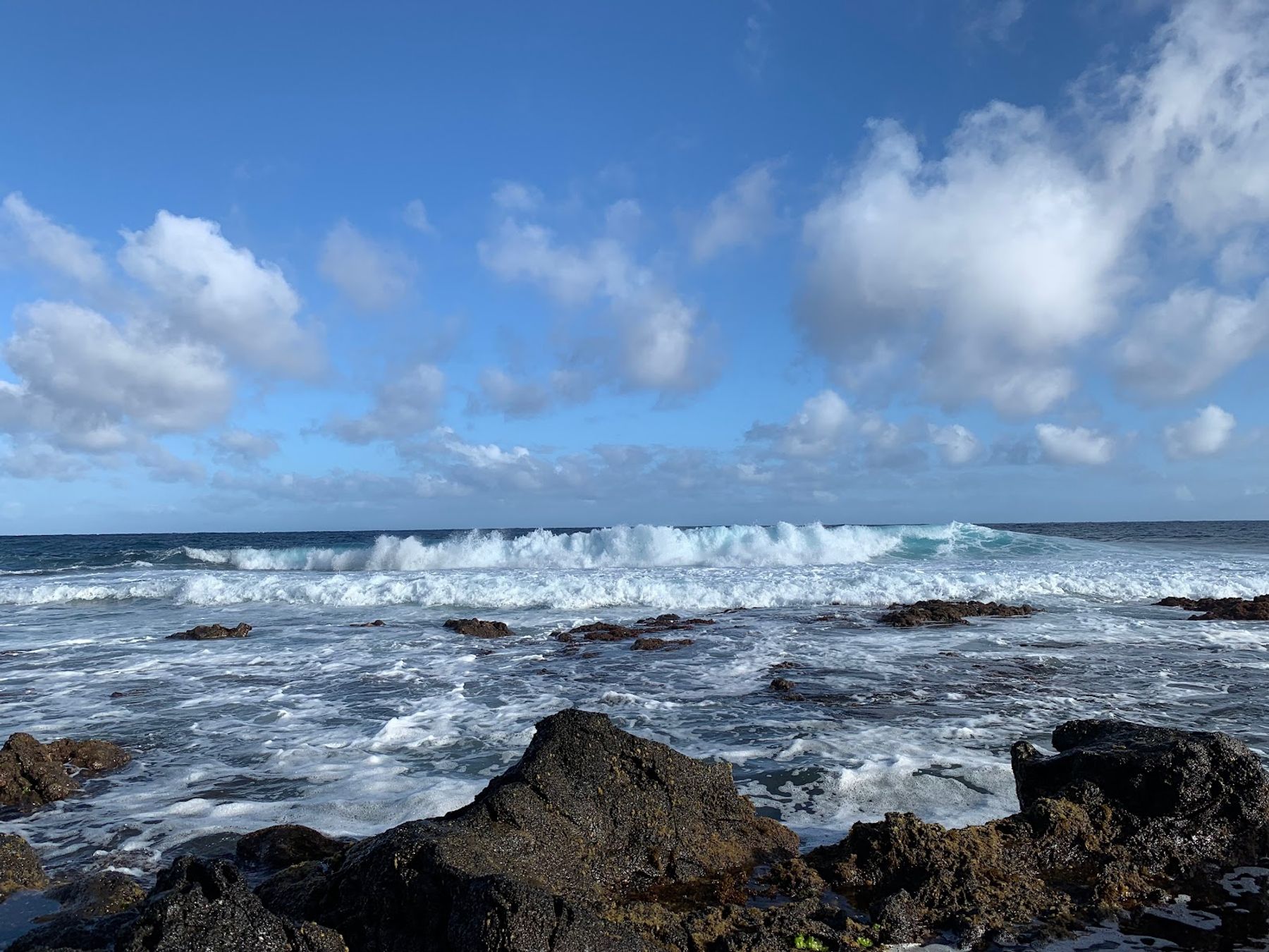Photo 10 of Wawamalu Beach in Hawaiʻi Kai & East Honolulu, Oahu
