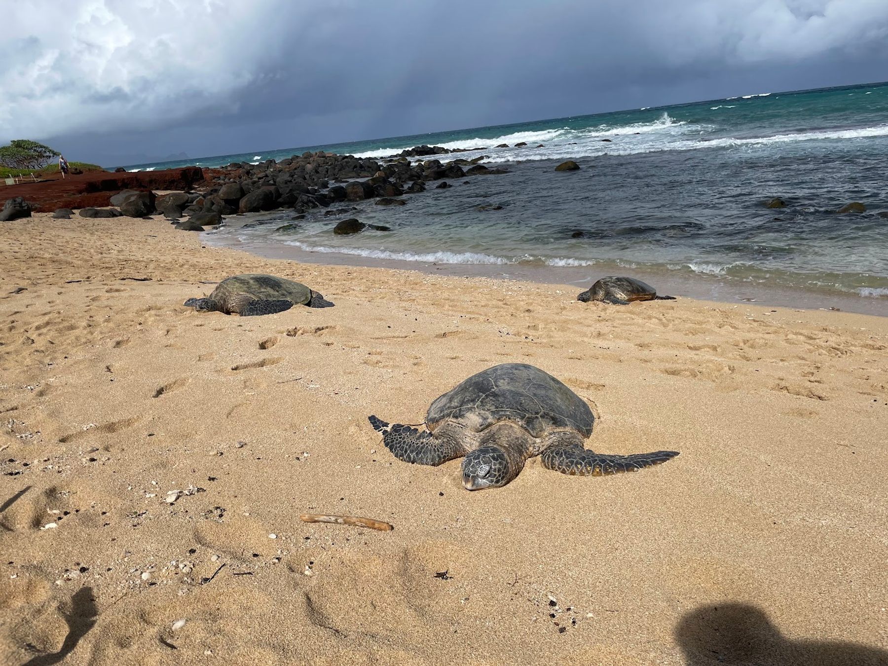 Photo 3 of Baby Beach, Sprecklesville Area in Pāʻia, Maui