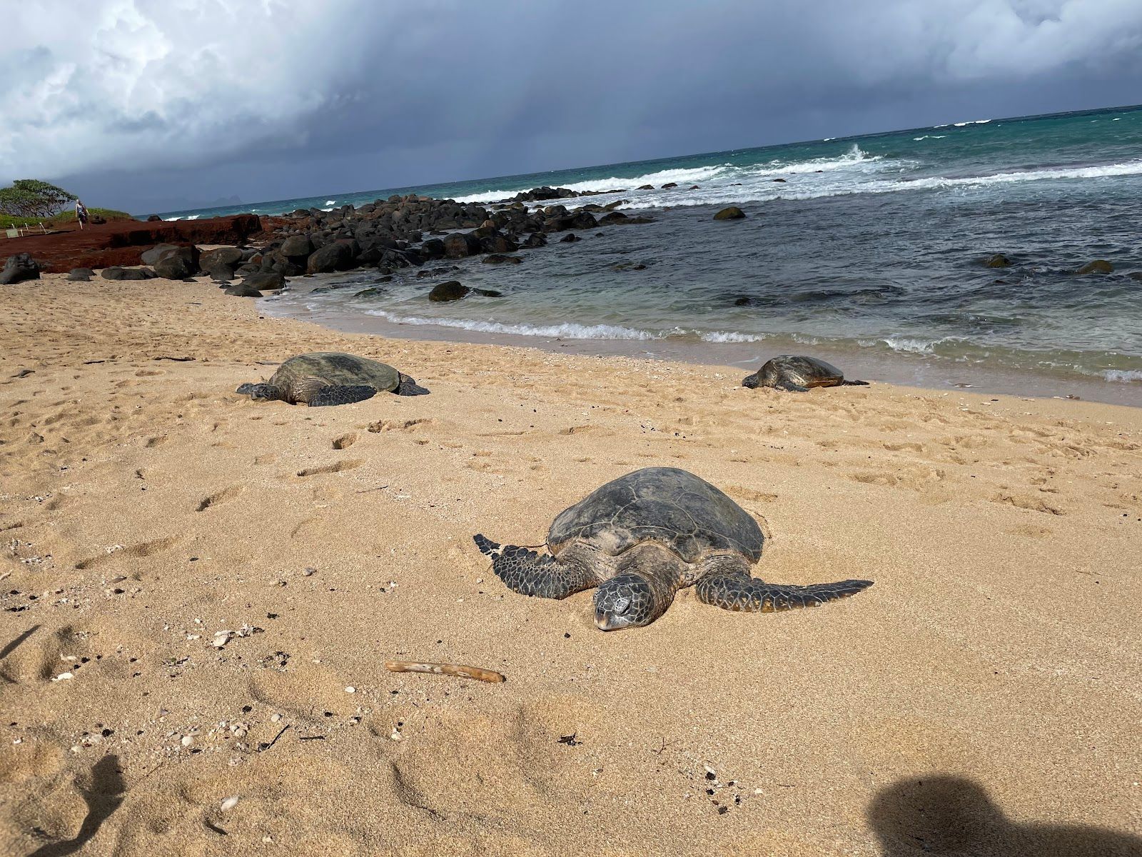 Photo 3 of Baby Beach, Sprecklesville Area in Pāʻia, Maui
