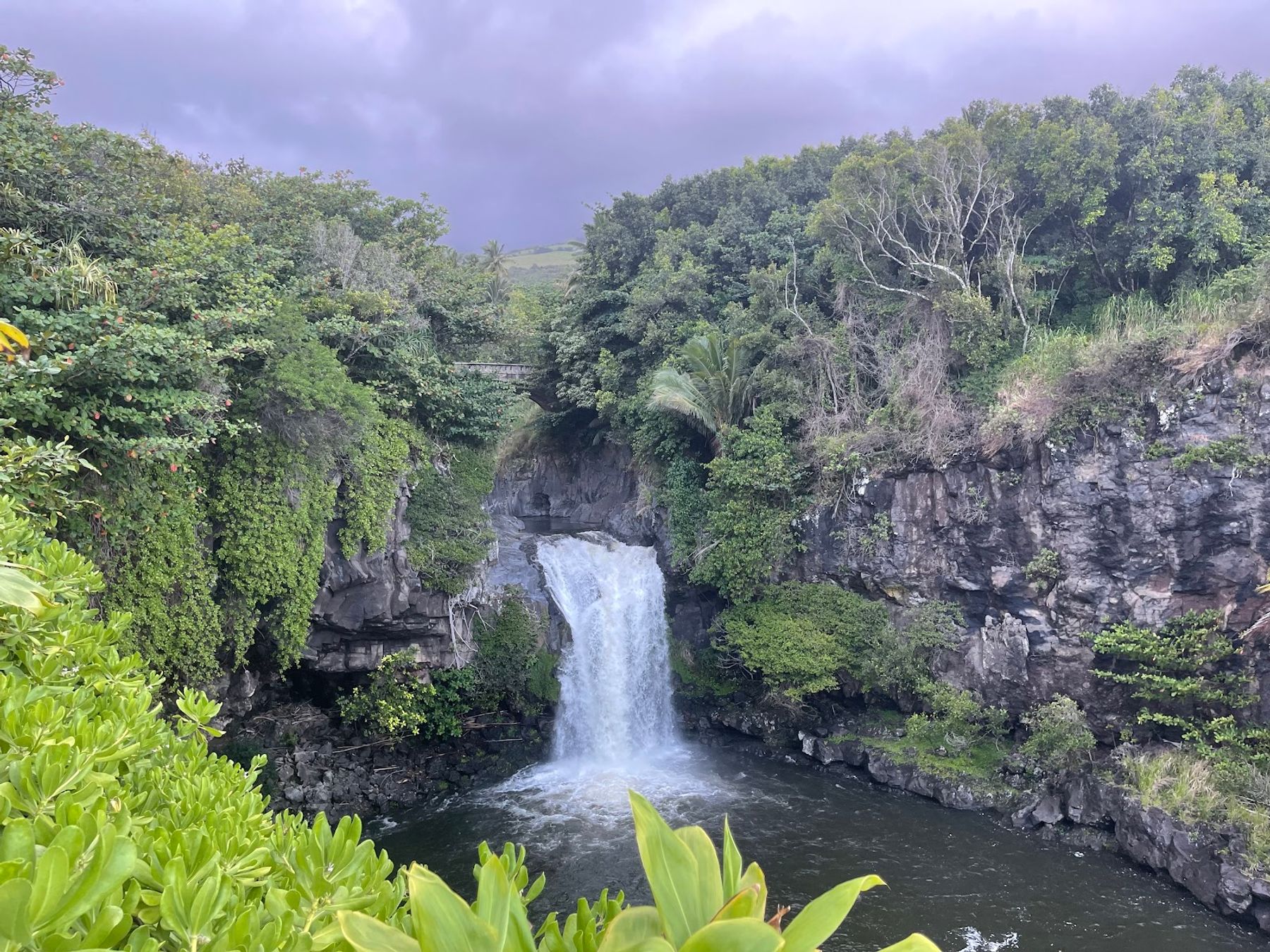 Photo 2 of ʻOheʻo Gulch in Kīpahulu & Kaupō, Maui