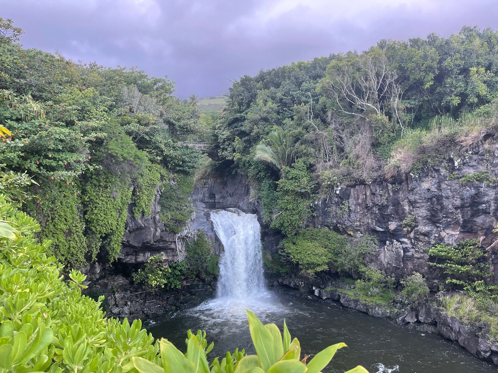 Photo 2 of ʻOheʻo Gulch in Kīpahulu & Kaupō, Maui