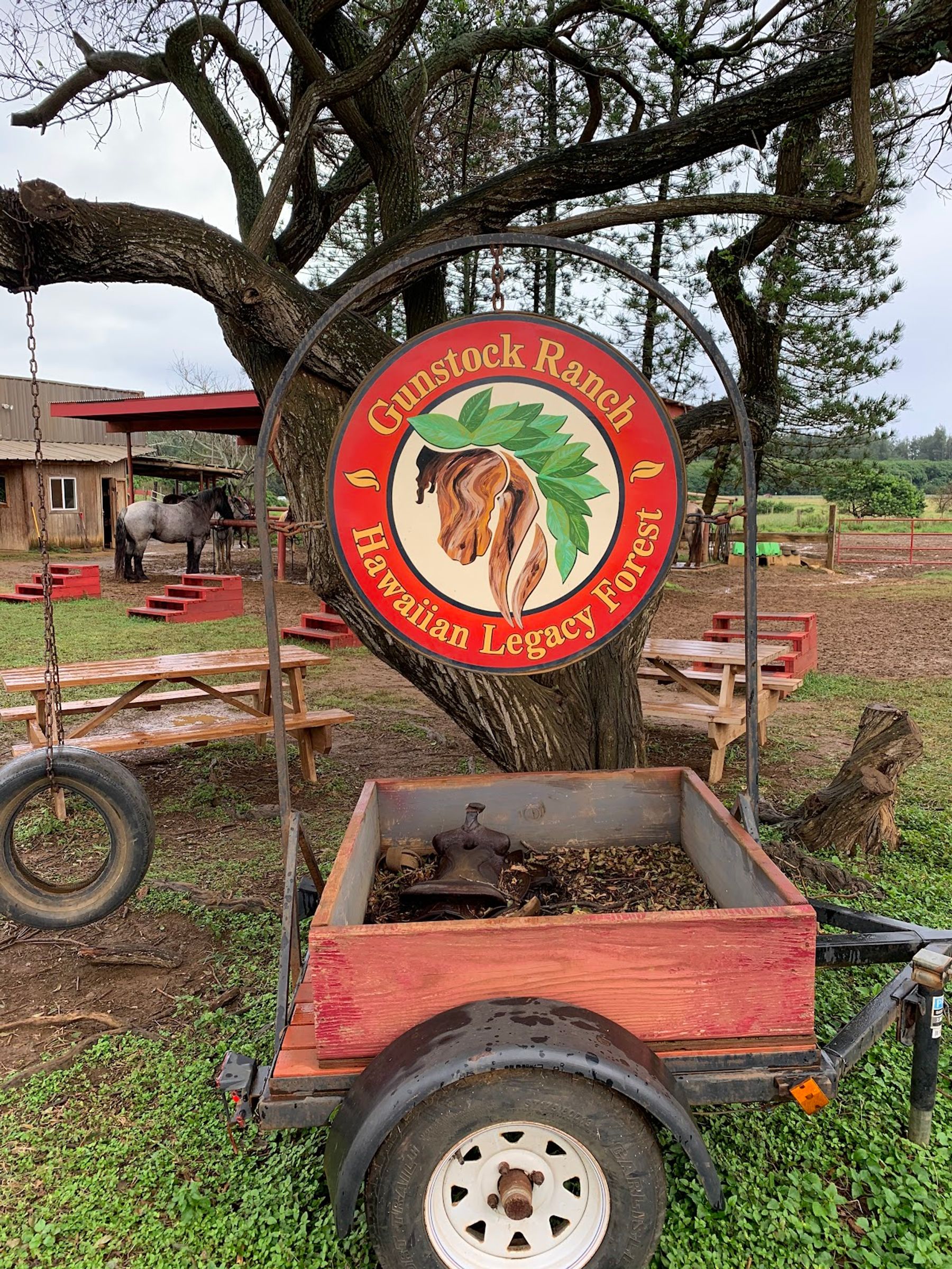 Photo 5 of Gunstock Ranch in Kahuku & Turtle Bay, Oahu
