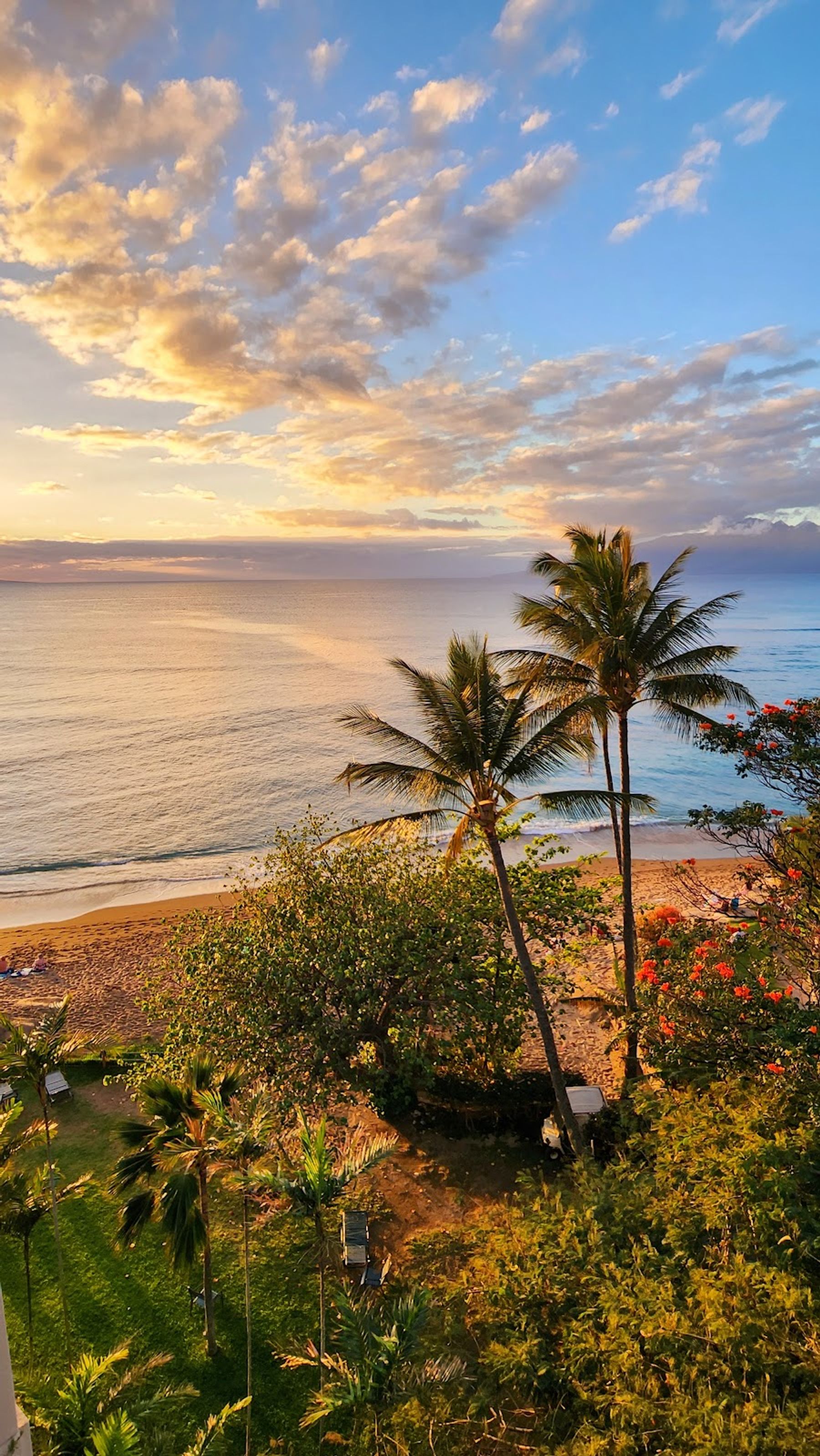 Photo 8 of Valley Isle Resort in Kapalua, Maui