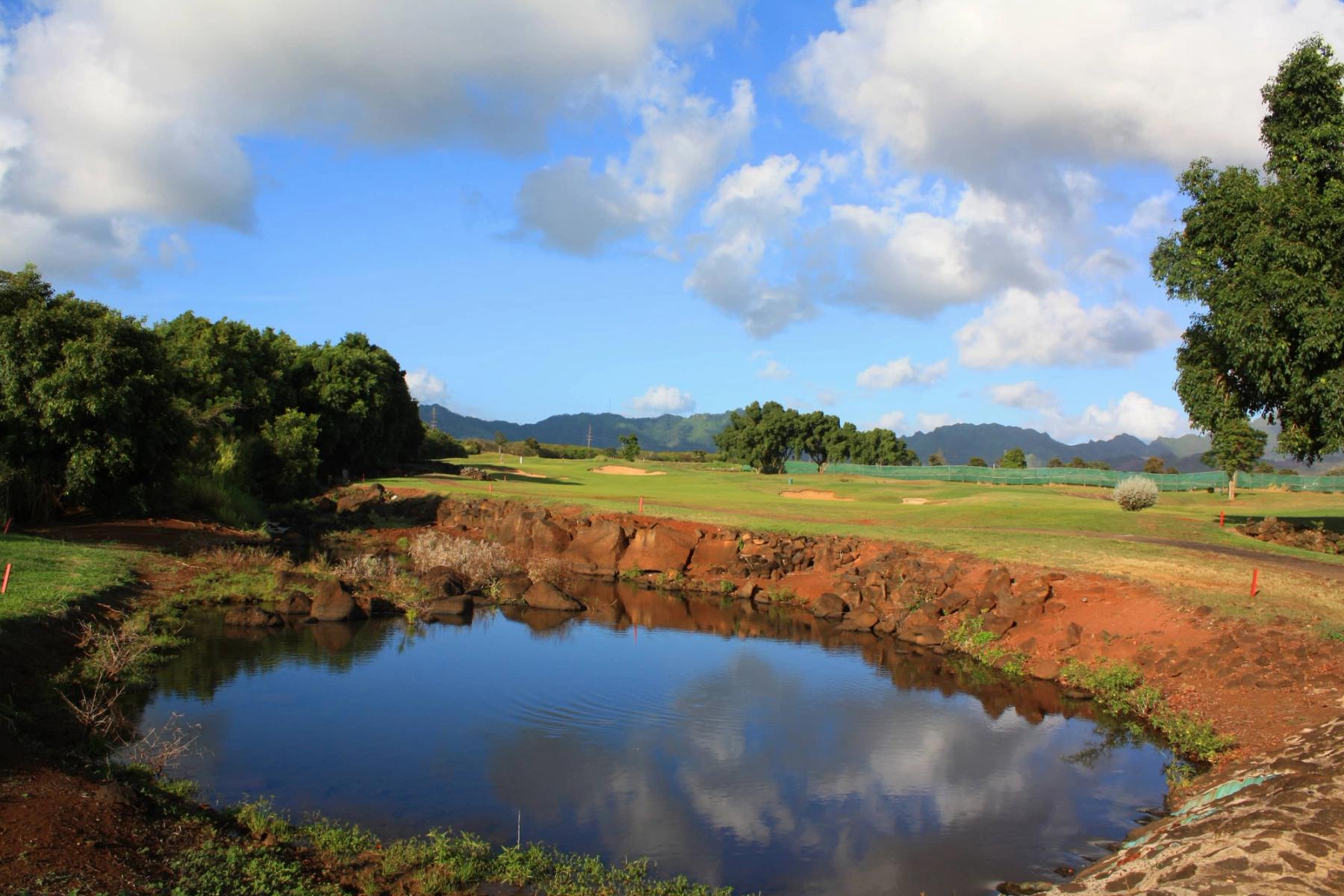 Kiahuna Golf Club in Poʻipū, Kaua‘i photo 8