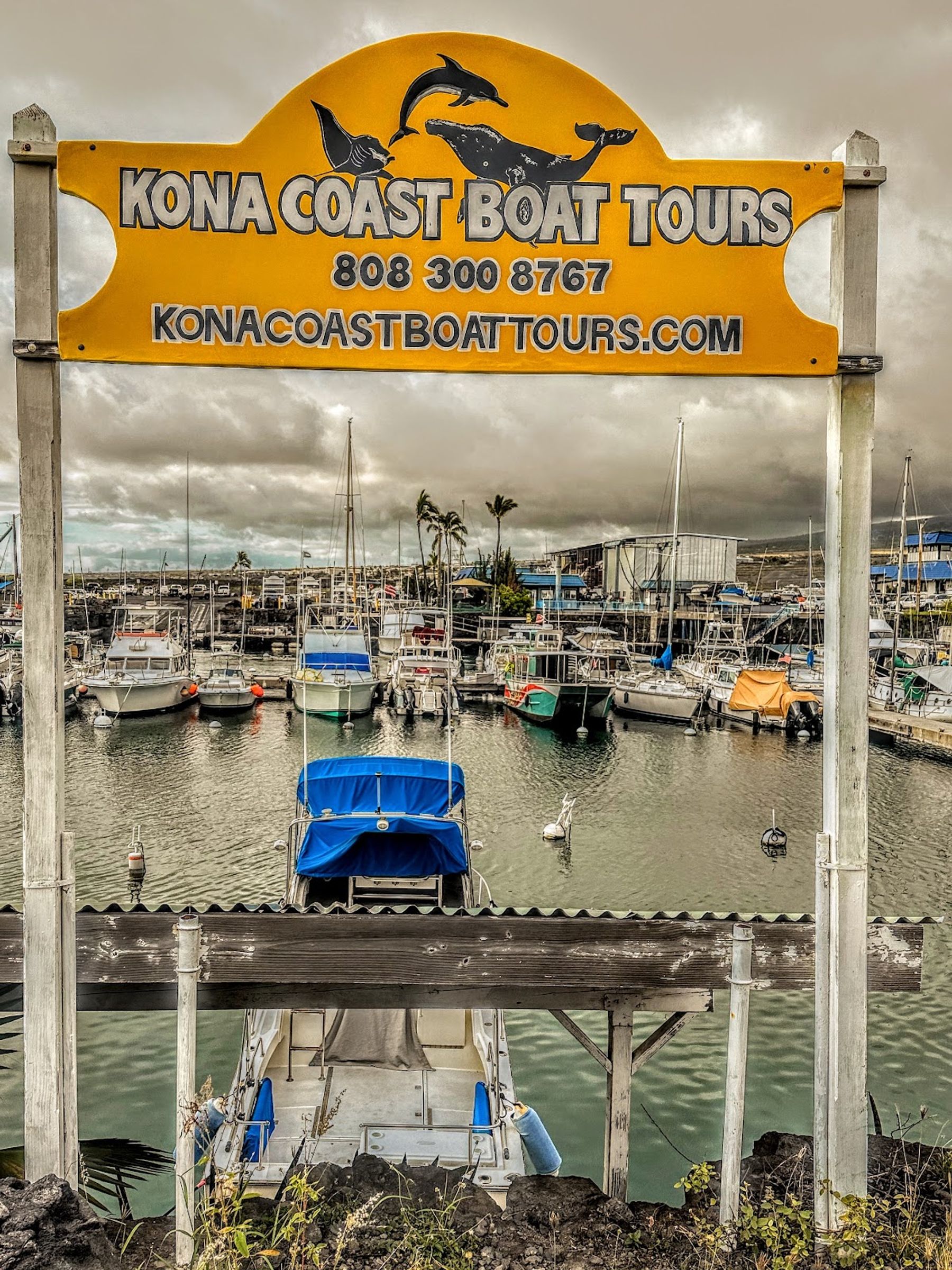 Photo 9 of Kona Coast Boat Tours in Kailua-Kona, Big Island