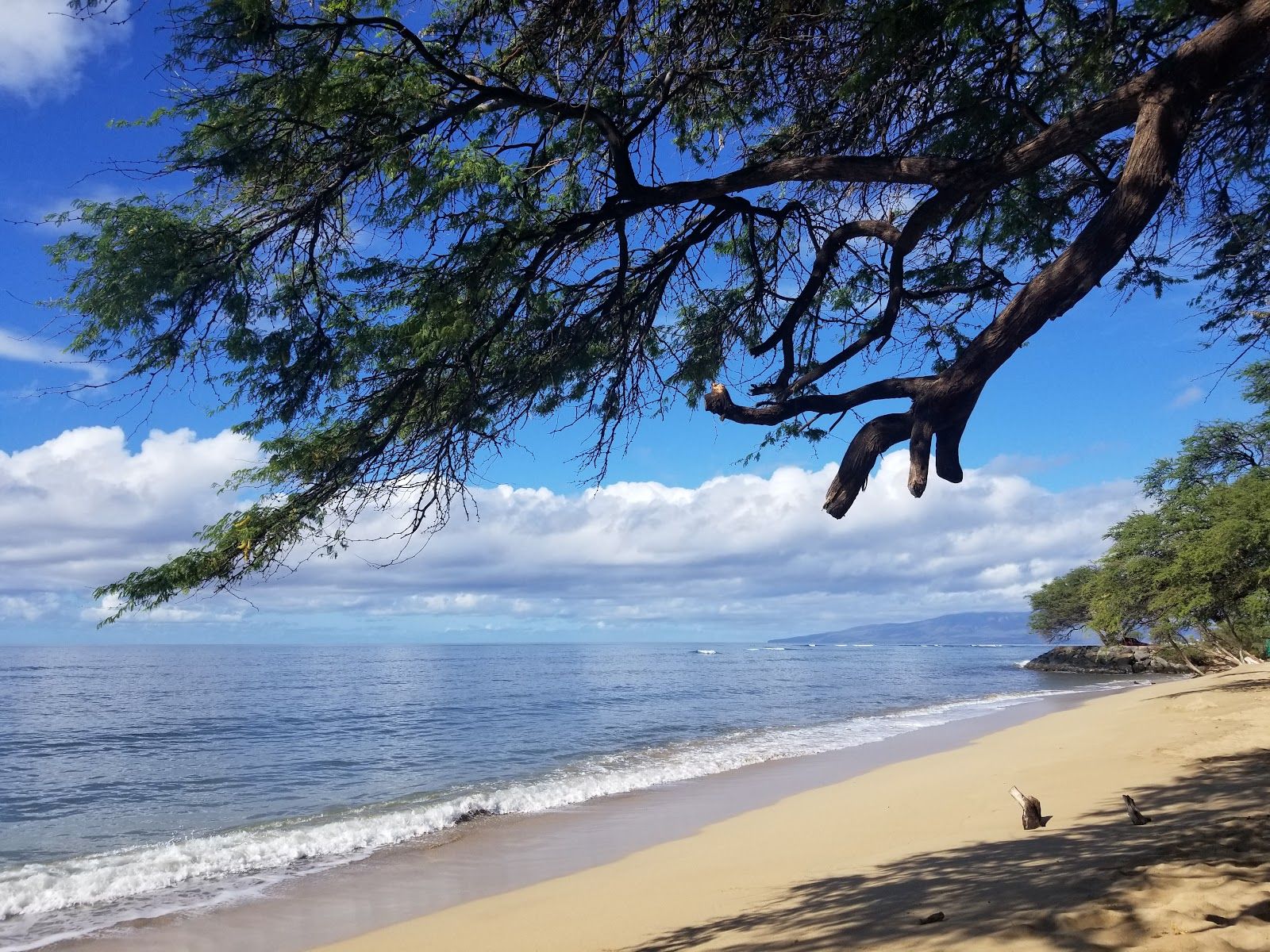 Photo 1 of Pāpalaua Wayside Park in Olowalu, Maui