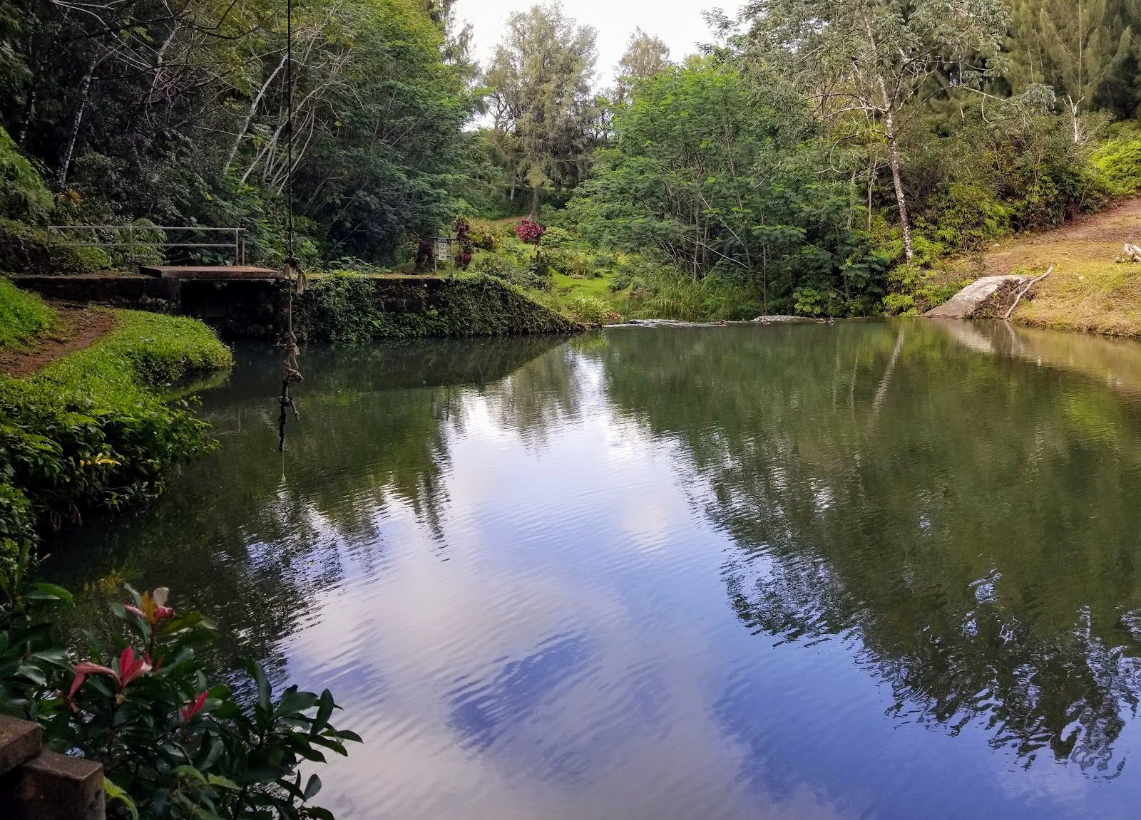 Wai Koa Loop Trail in Kīlauea, Kaua‘i photo 6