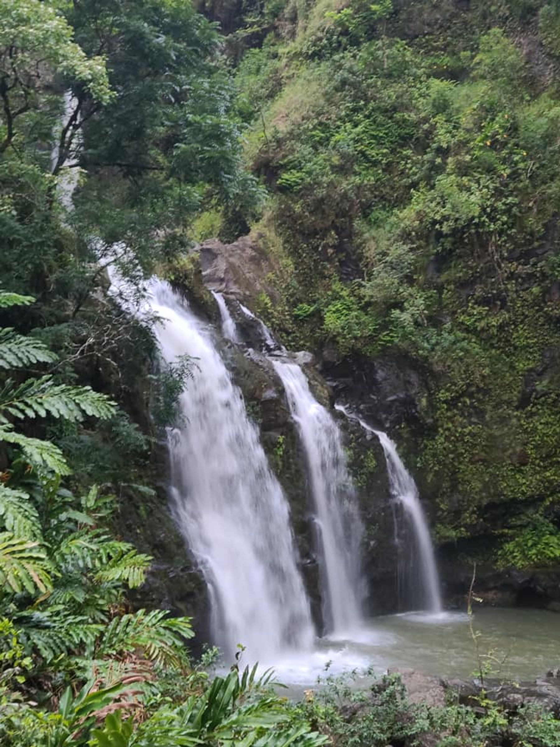 Photo 7 of Road to Hana in Keʻanae-Nāhiku, Maui