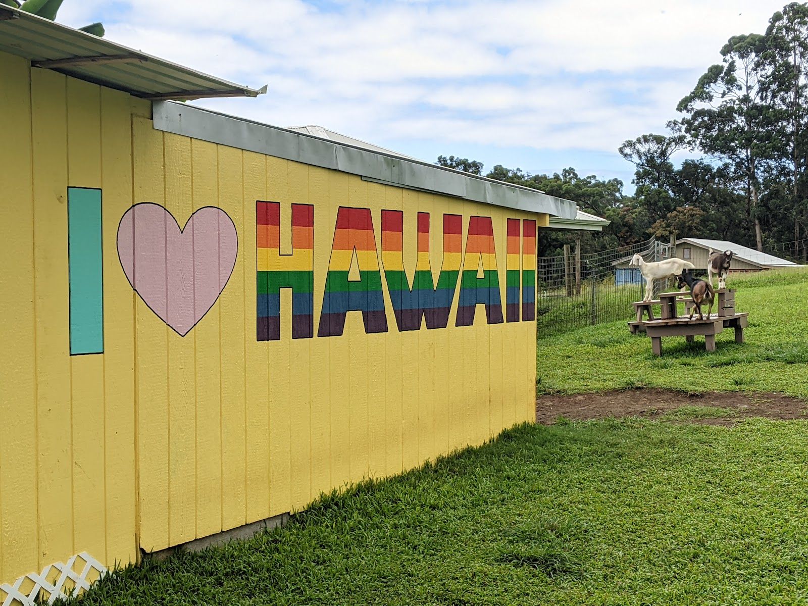 Photo 7 of Honomu Goat Dairy in Greater Hilo, Big Island