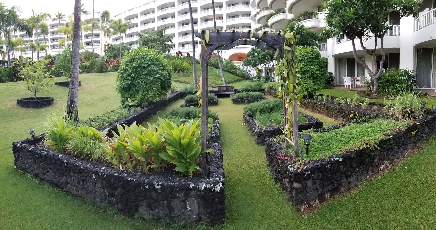 Photo 8 of AMA BAR & GRILL in Wailea, Maui