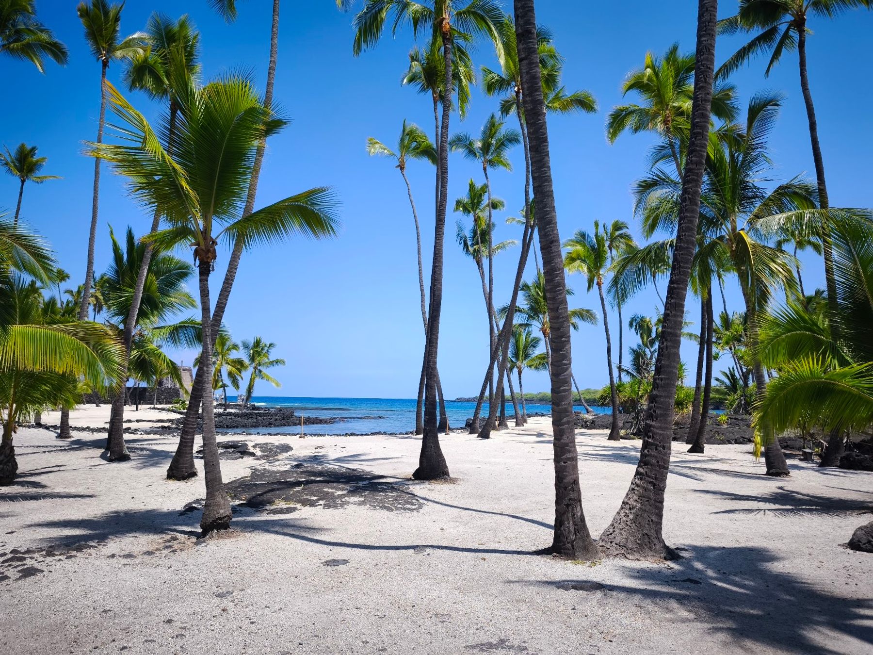 Photo 4 of Pu'uhonua O Honaunau National Historical Park in South Kona, Big Island