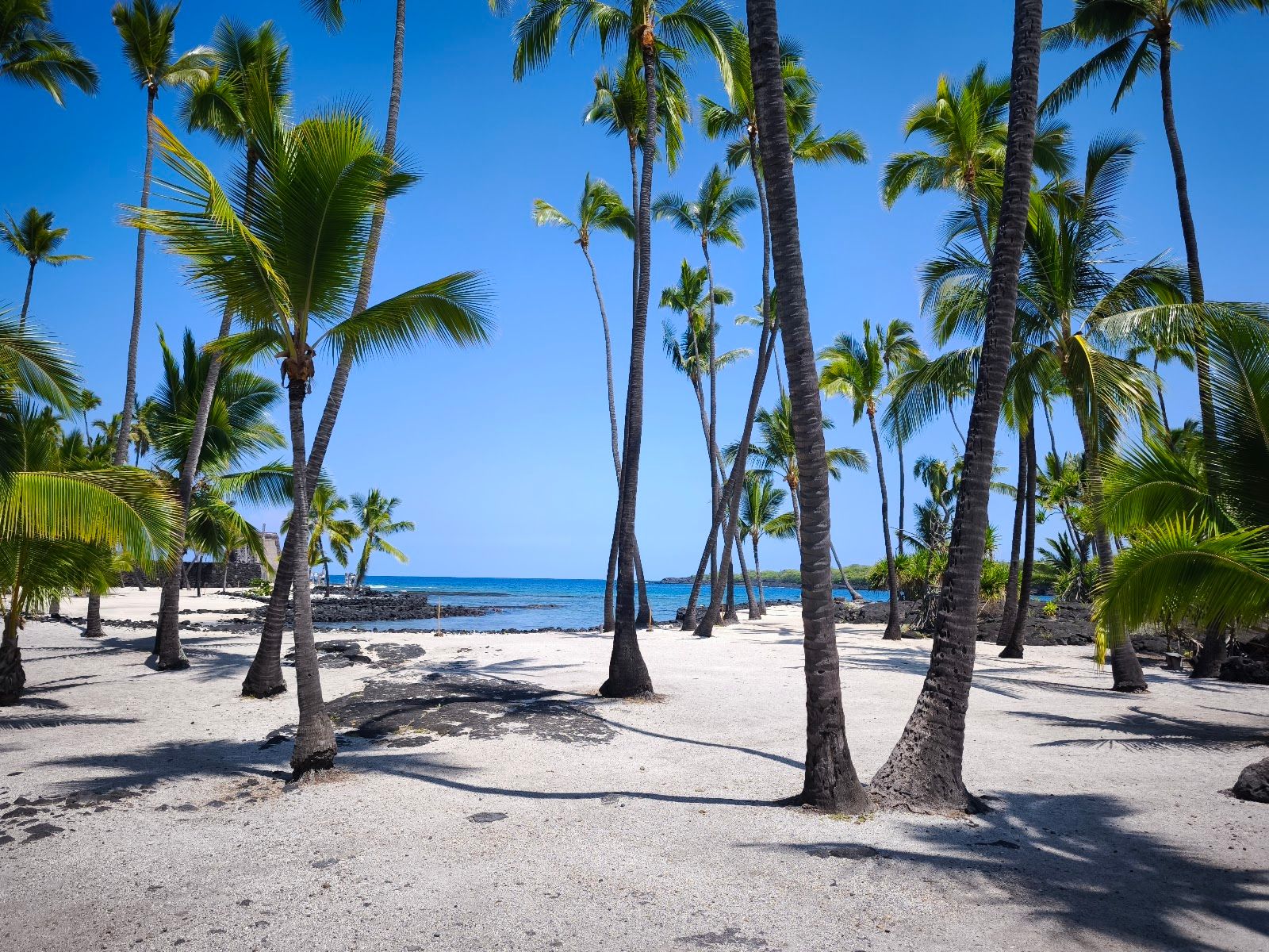 Photo 4 of Pu'uhonua O Honaunau National Historical Park in South Kona, Big Island