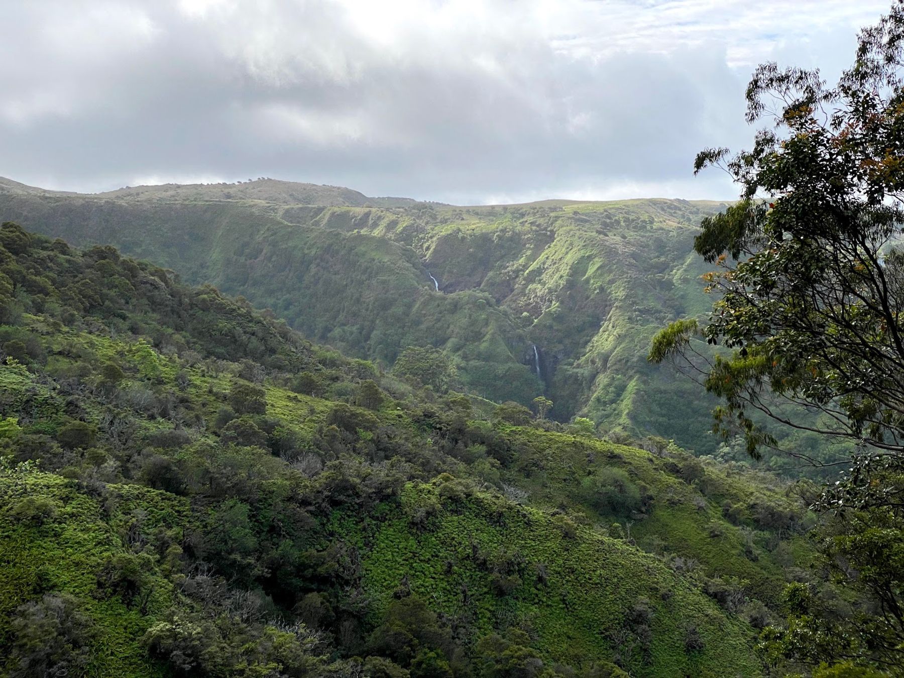 Photo 7 of Waihee Ridge Trail in Wailuku, Maui