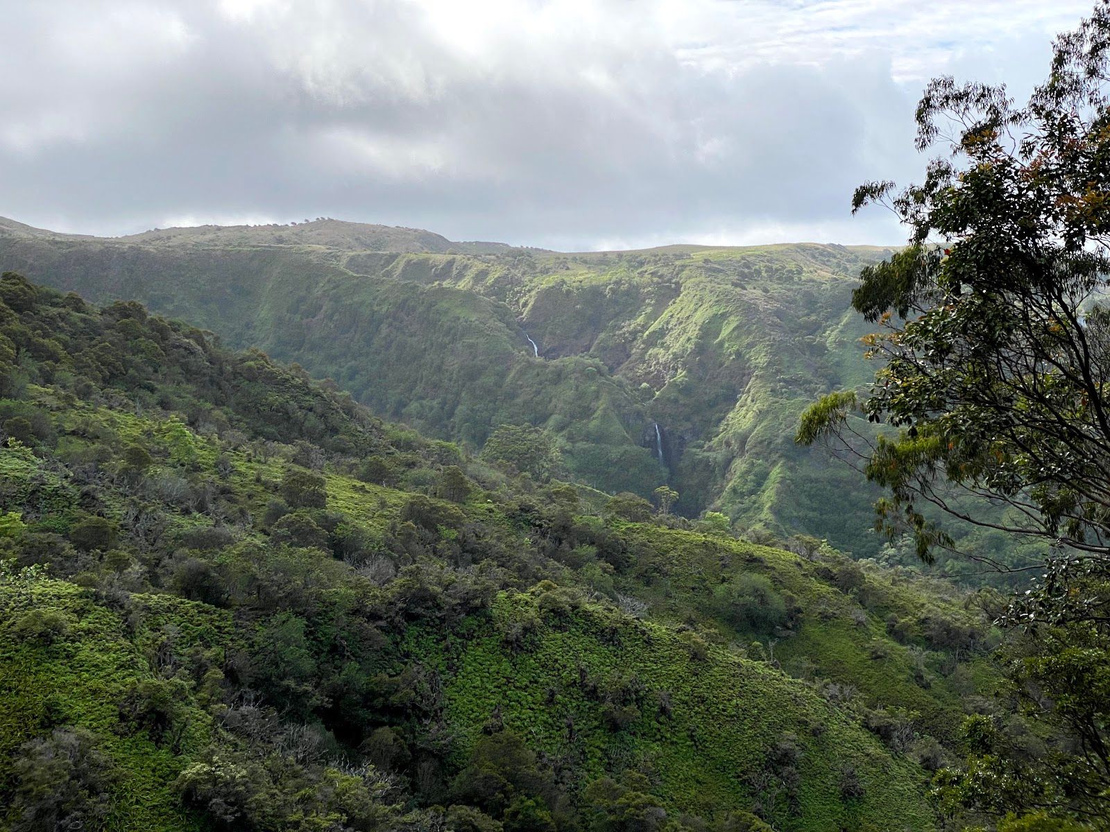 Photo 7 of Waihee Ridge Trail in Wailuku, Maui