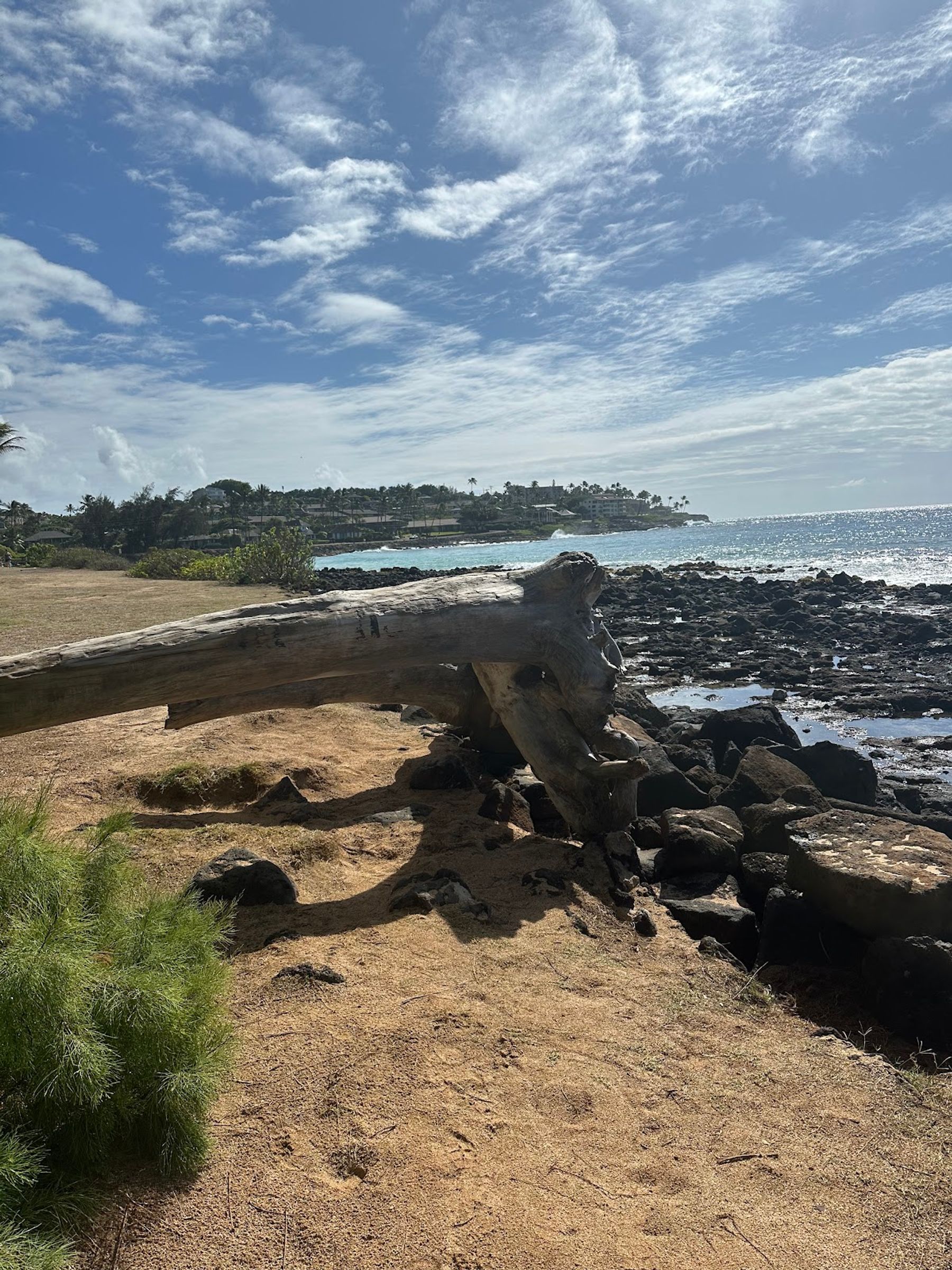 Photo 10 of Clark's Hawaii Tours in Kailua-Kona, Big Island