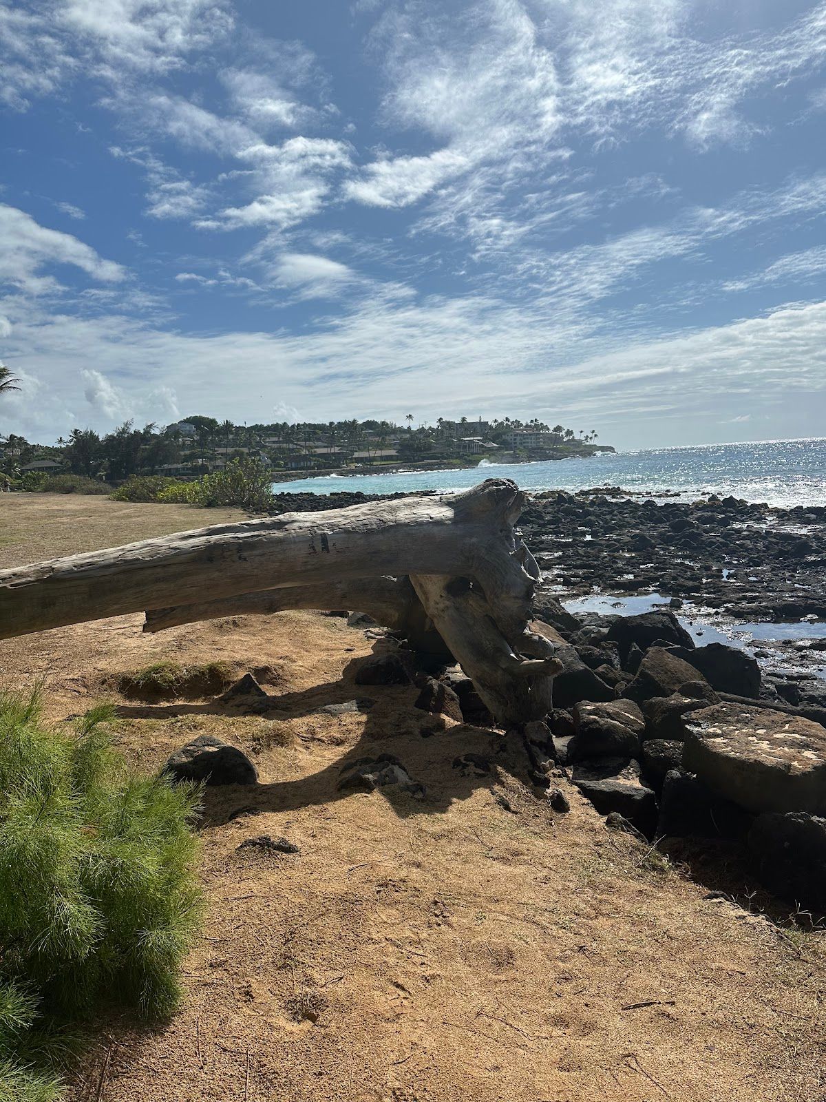 Photo 10 of Clark's Hawaii Tours in Kailua-Kona, Big Island