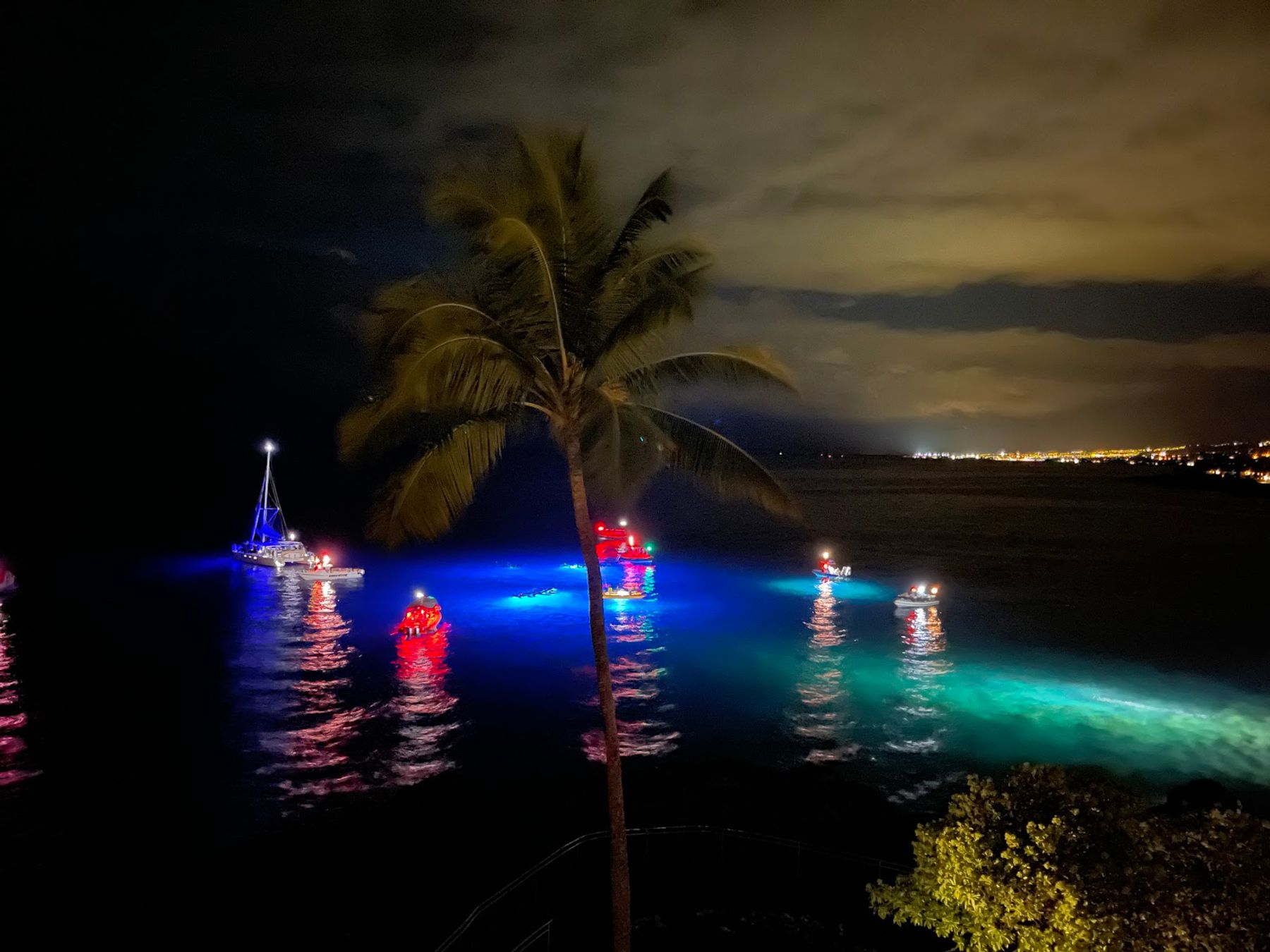 Photo 2 of The Manta & Snorkel Co - Kona in Kailua-Kona, Big Island