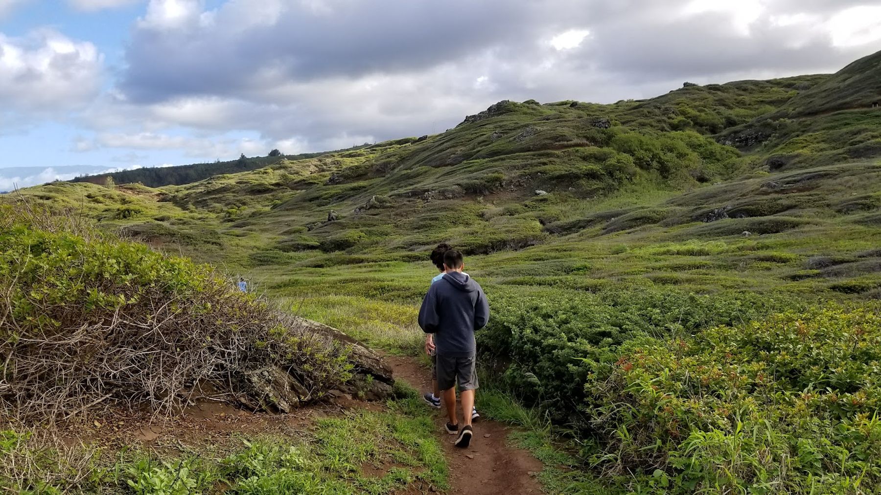 Photo 7 of ʻOhai Trail in Wailuku, Maui