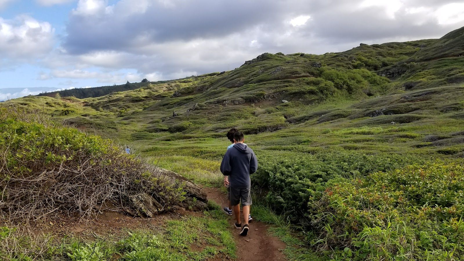 Photo 7 of ʻOhai Trail in Wailuku, Maui
