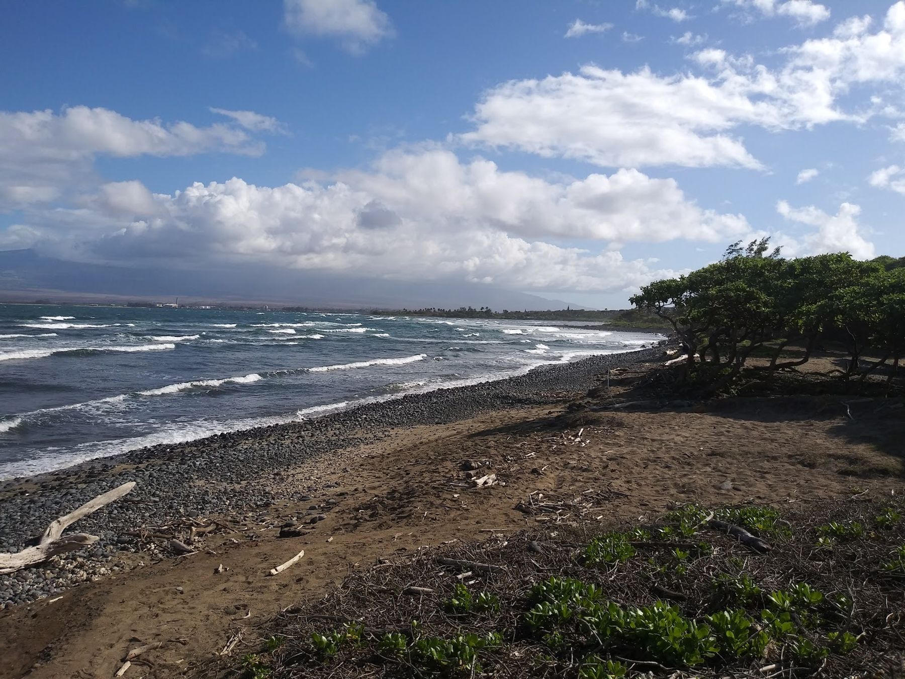 Photo 5 of Waiehu Beach Park in Wailuku, Maui