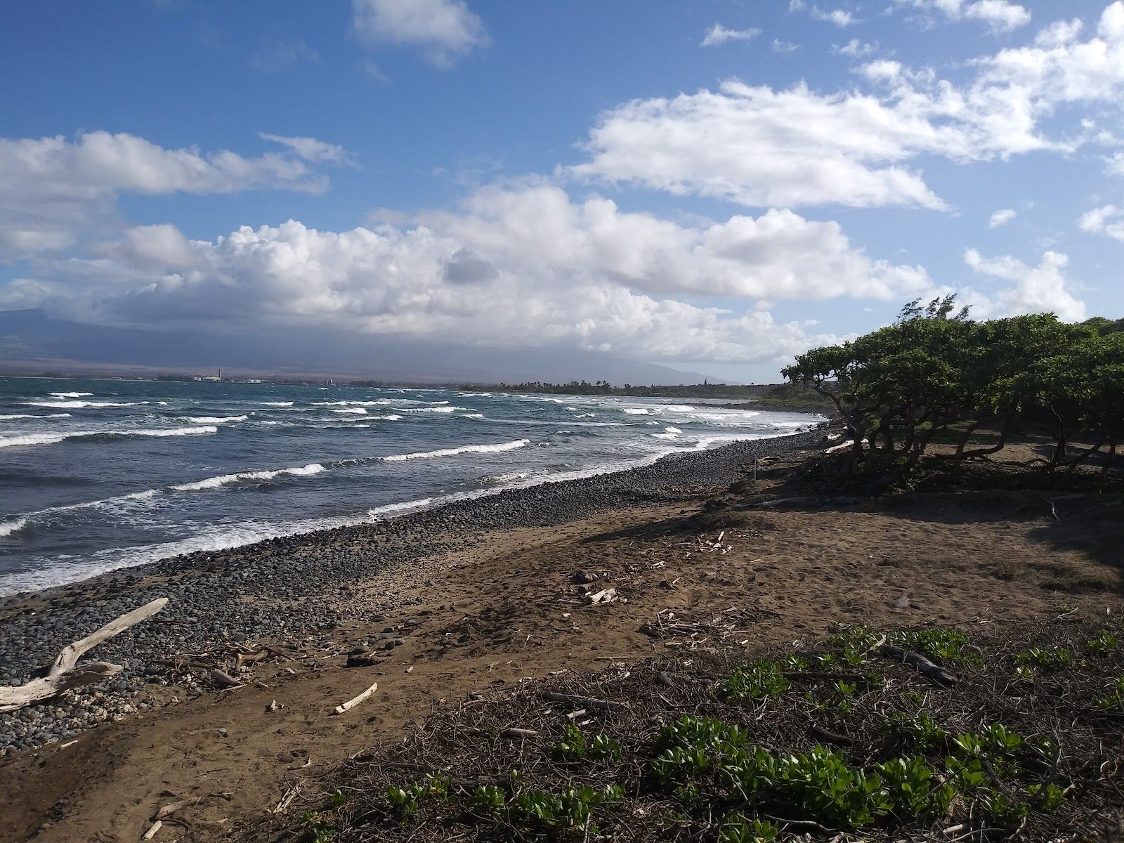 Photo 5 of Waiehu Beach Park in Wailuku, Maui